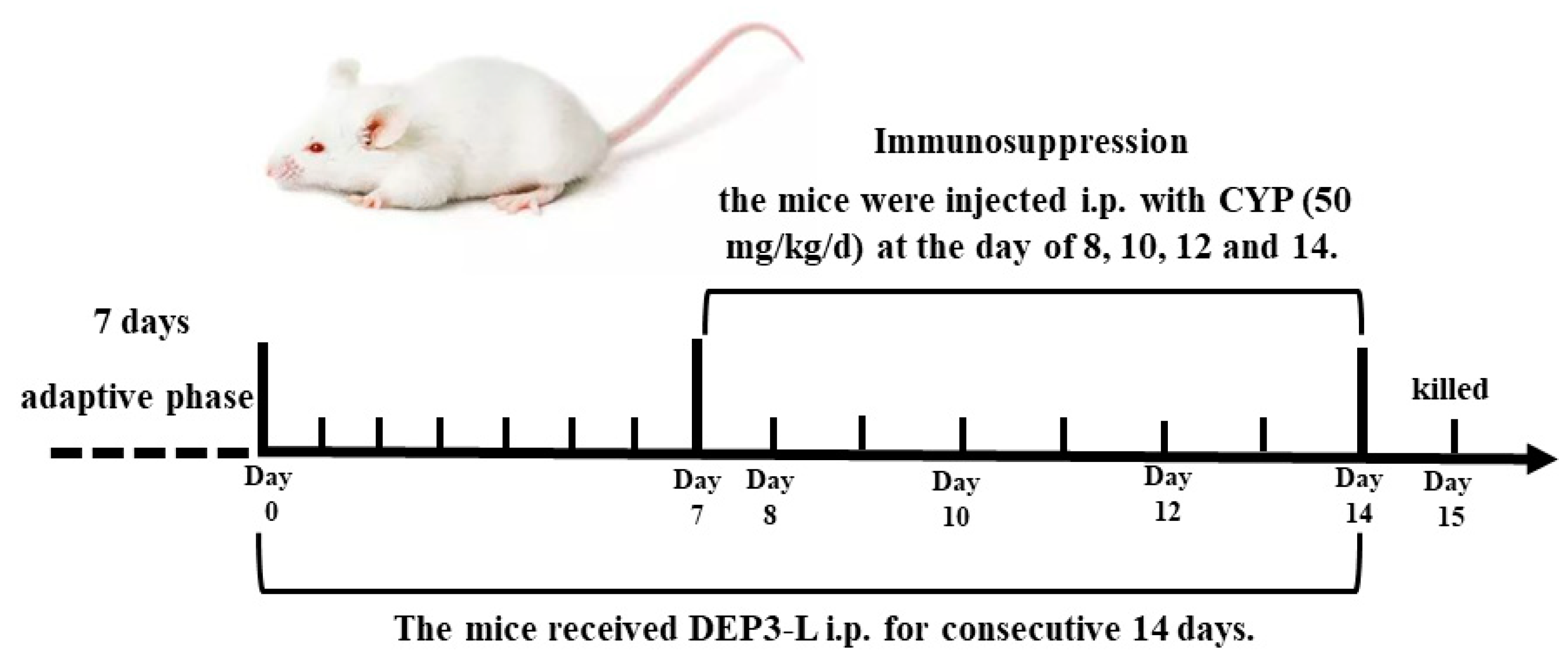 Marinedrugs 18 00340 g007 Marinedrugs 18 00340 g007