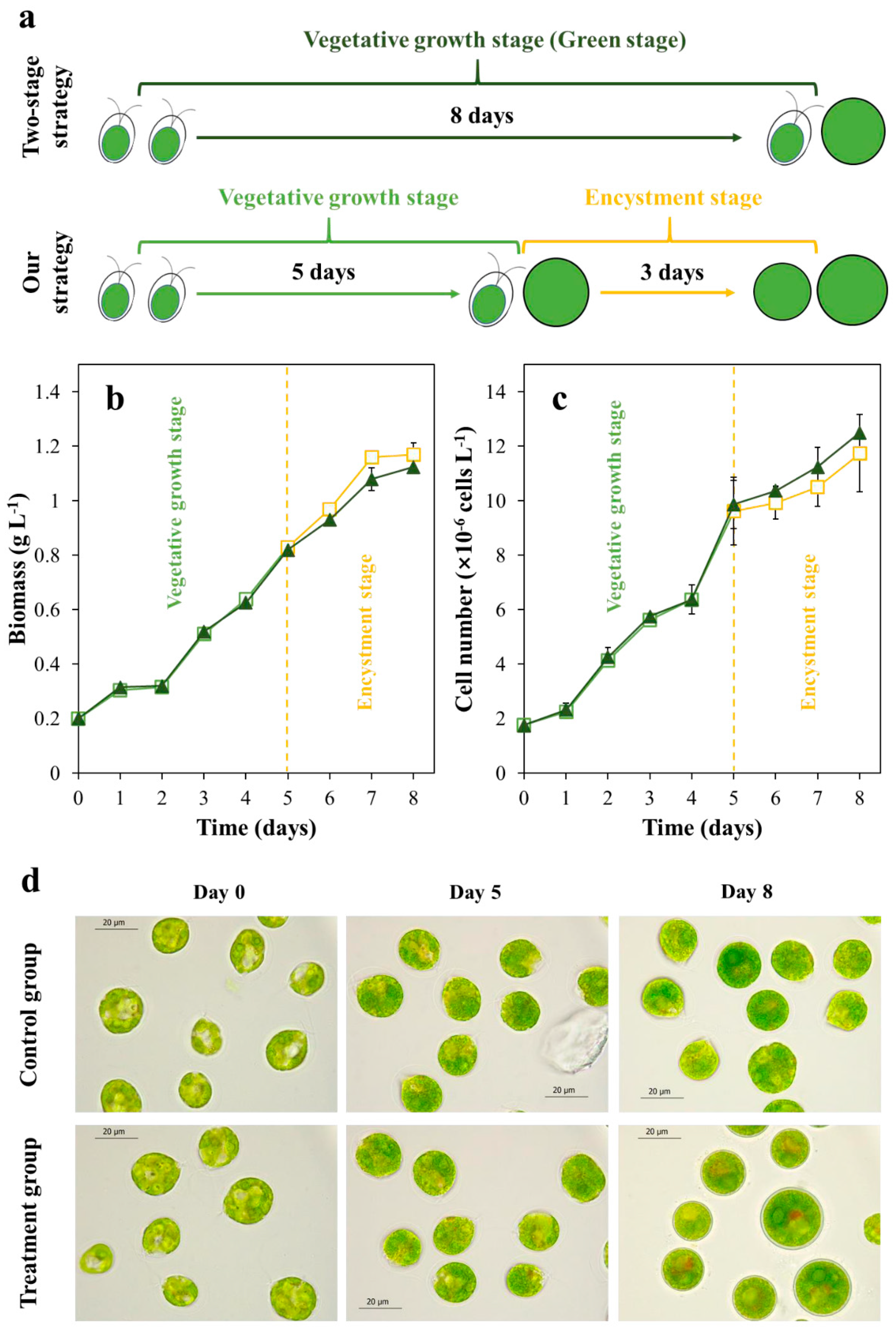 Marinedrugs 18 00341 g001 Marinedrugs 18 00341 g001