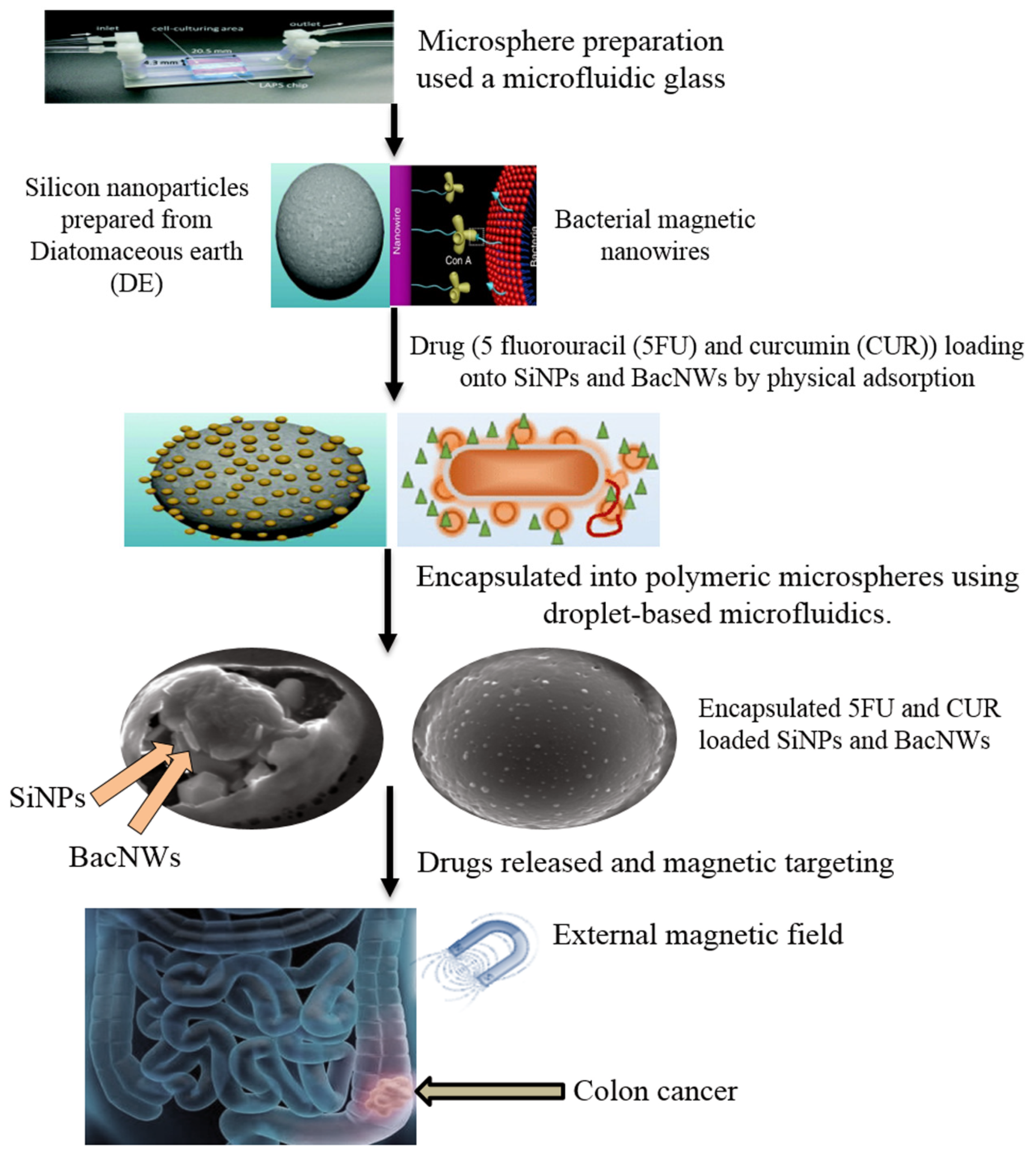 Marine Drugs Free Full Text Anticancer Compounds Derived From Marine Diatoms Html