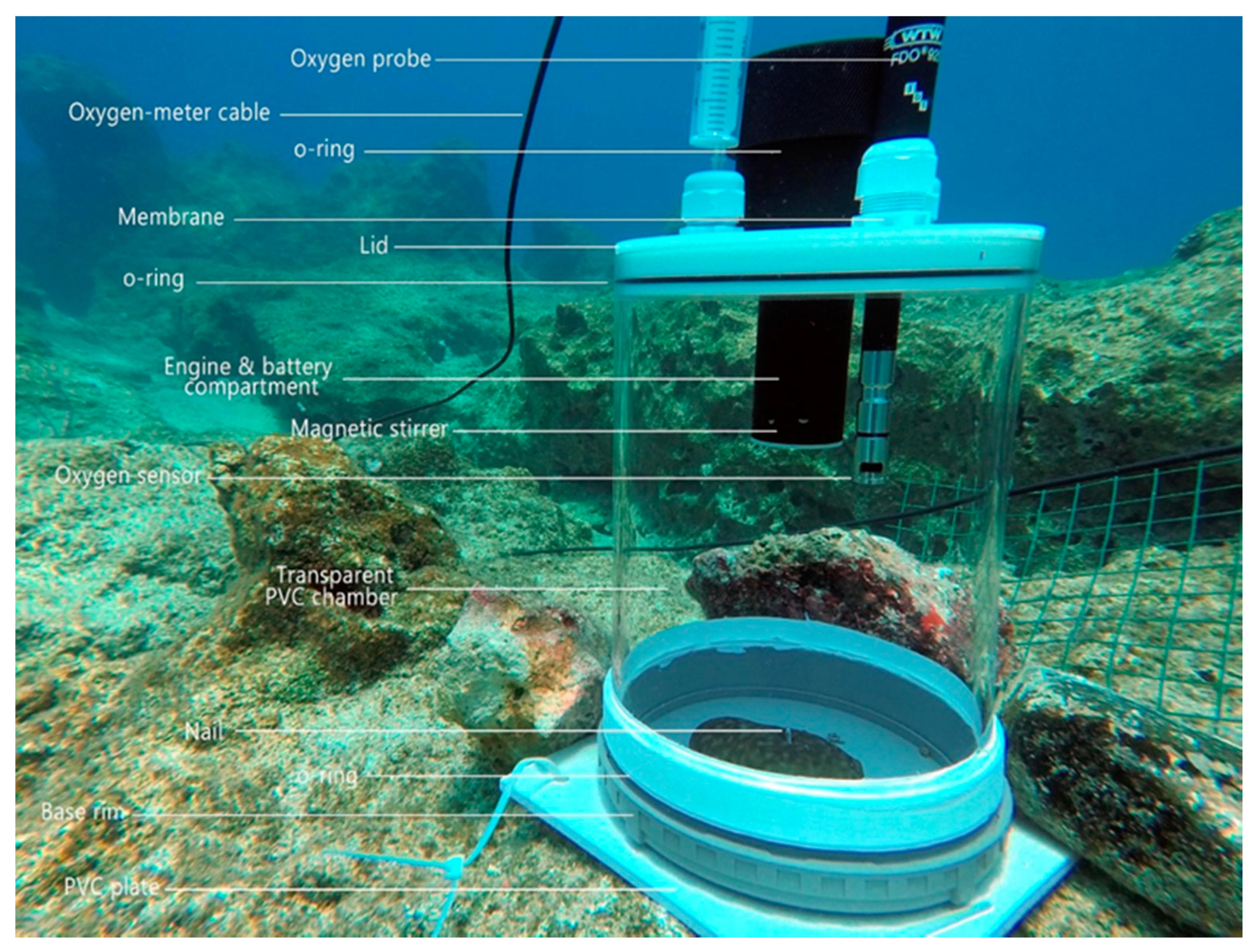 Marinedrugs 18 00358 g003 Marinedrugs 18 00358 g003