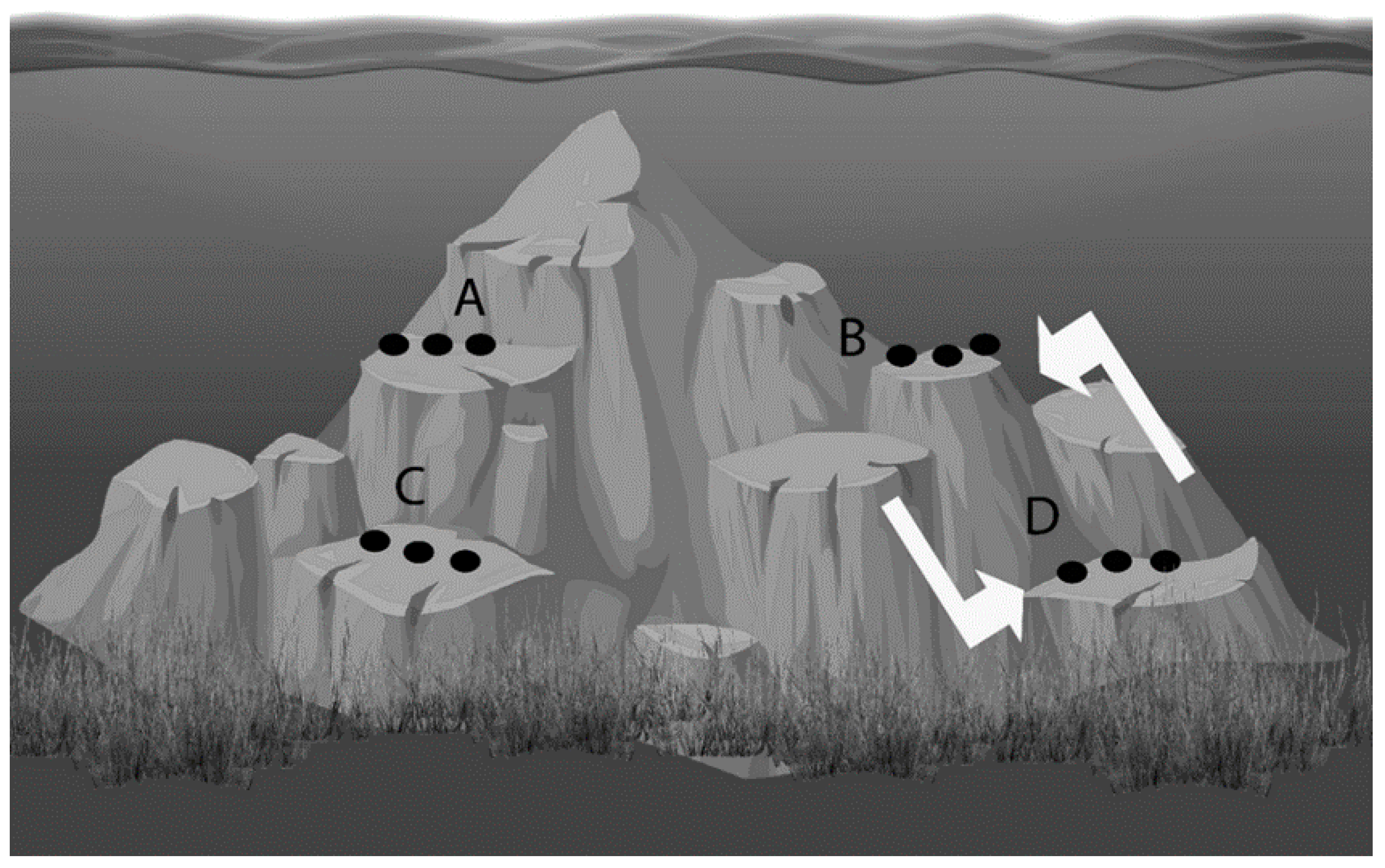 Marinedrugs 18 00358 g004 Marinedrugs 18 00358 g004