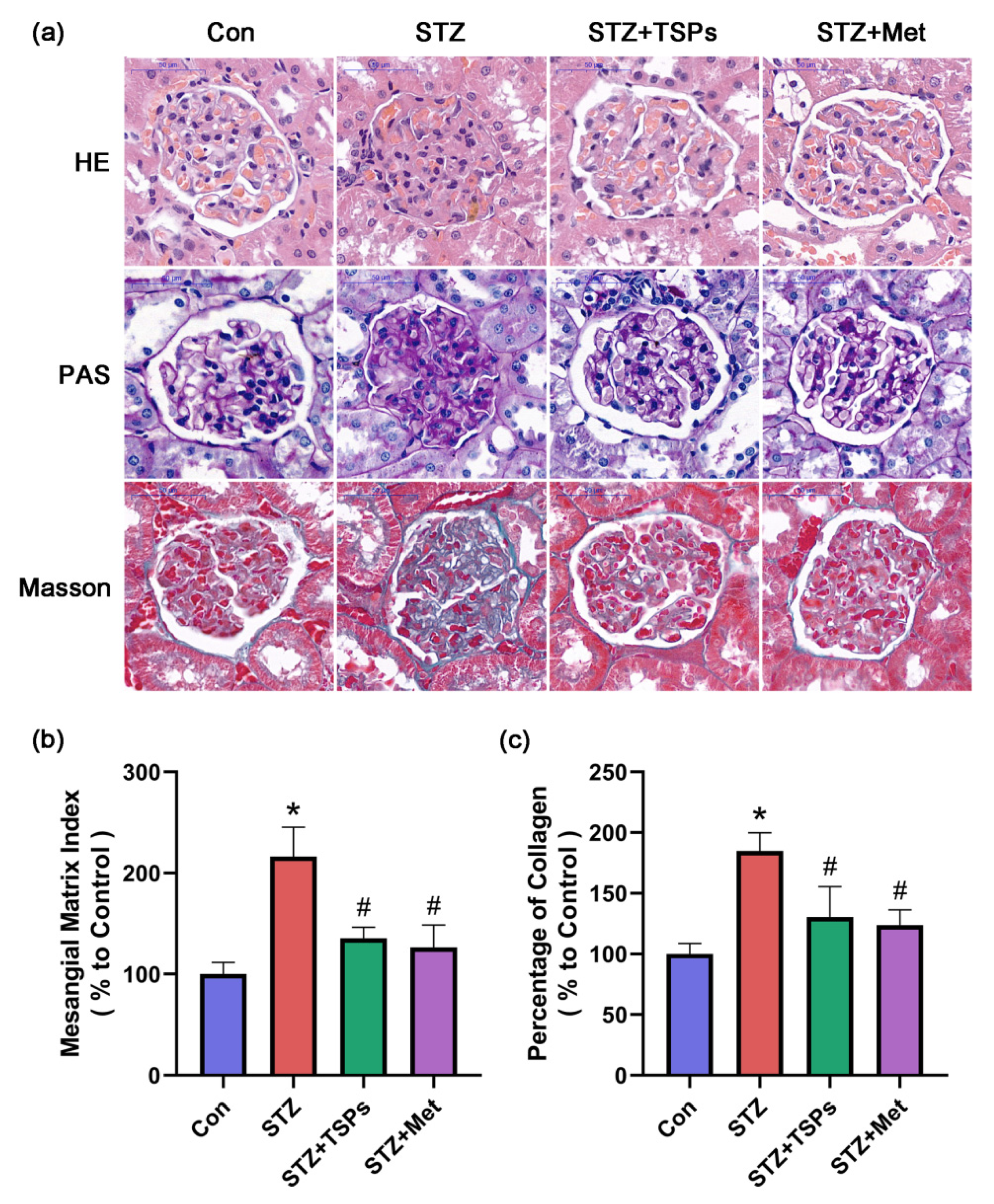 Marinedrugs 18 00363 g002 Marinedrugs 18 00363 g002