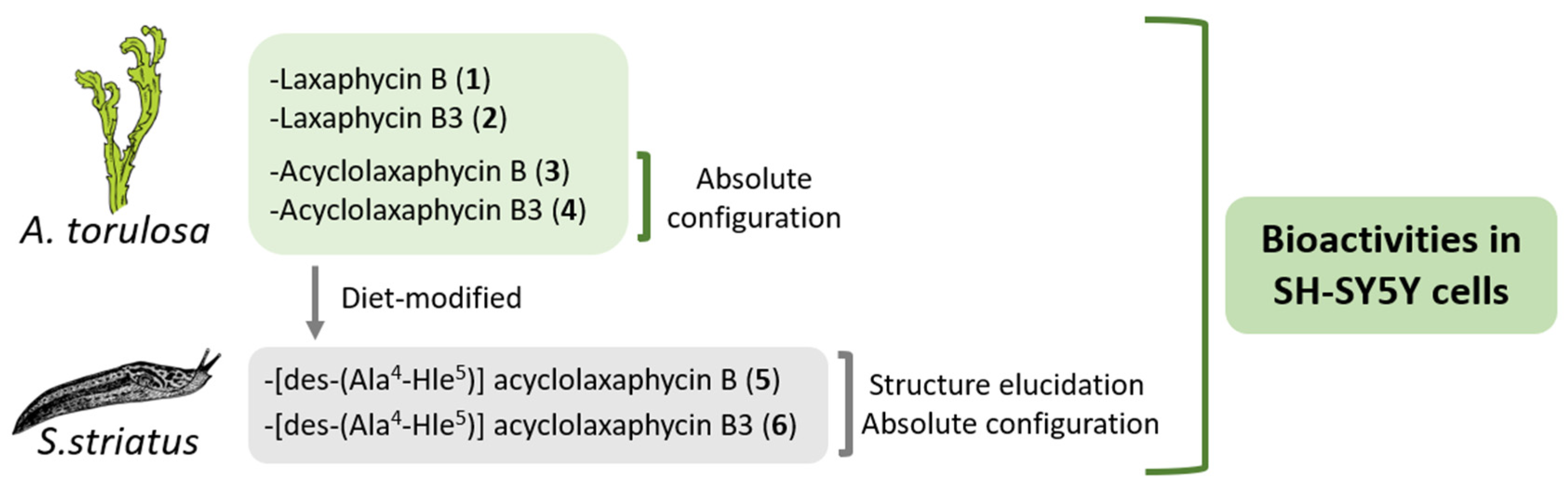 Marinedrugs 18 00364 g001