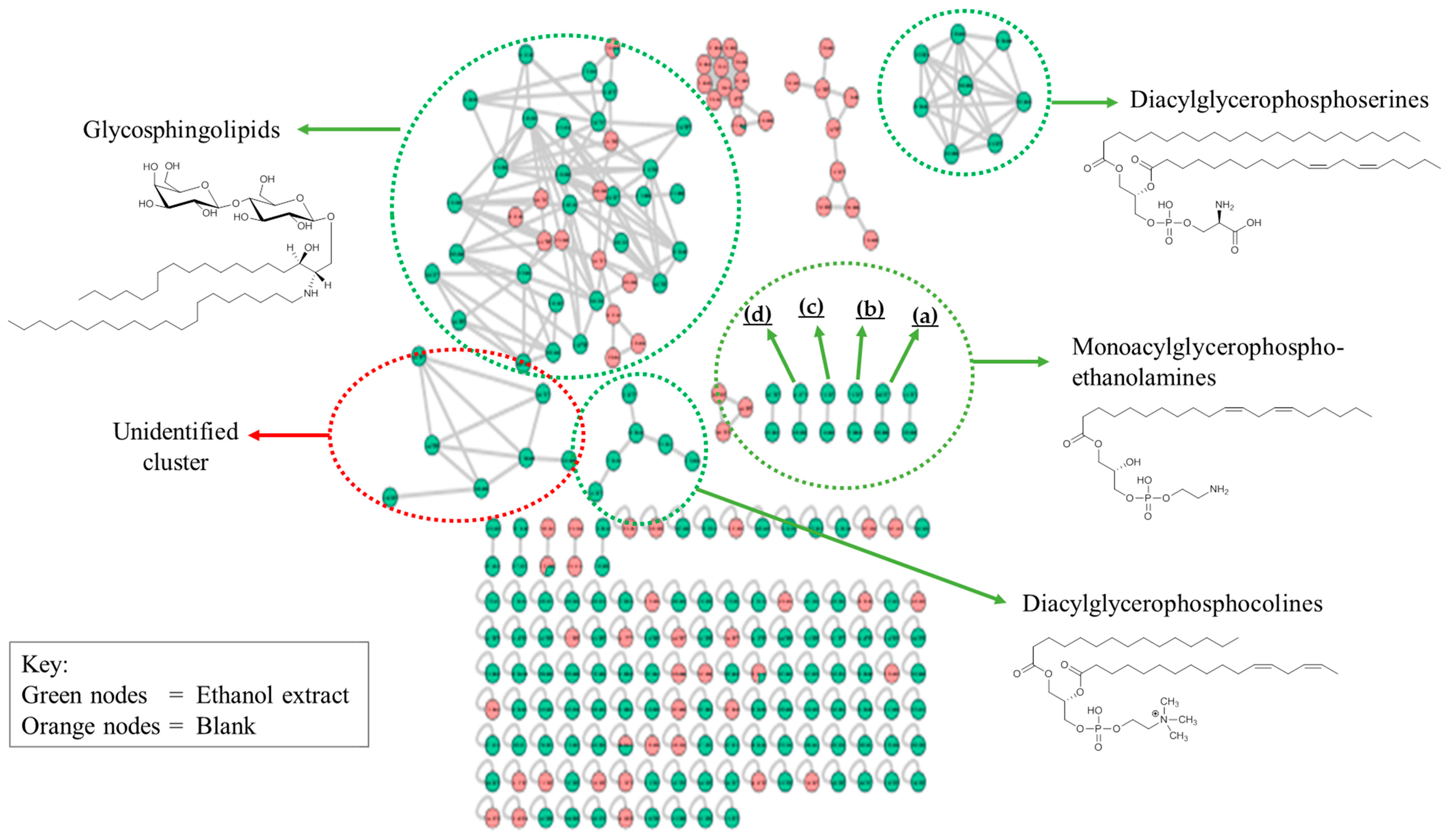 Marinedrugs 18 00367 g006
