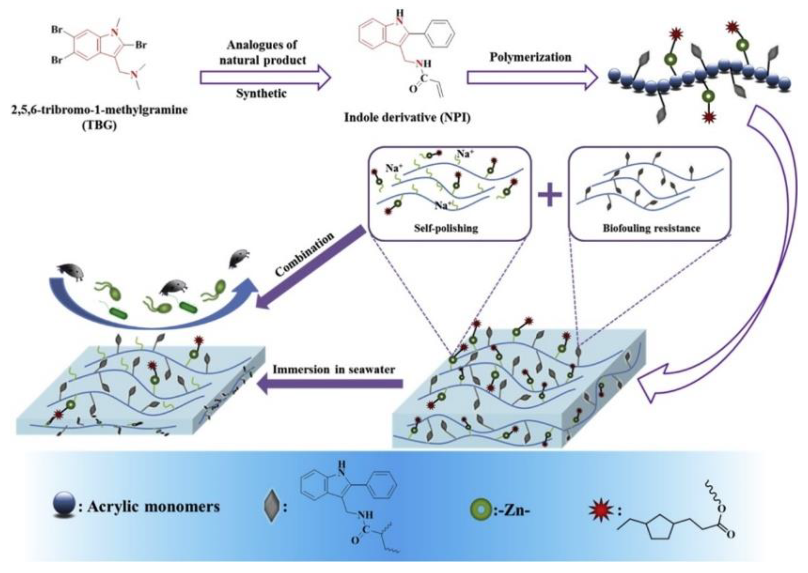 Marinedrugs 18 00371 g005
