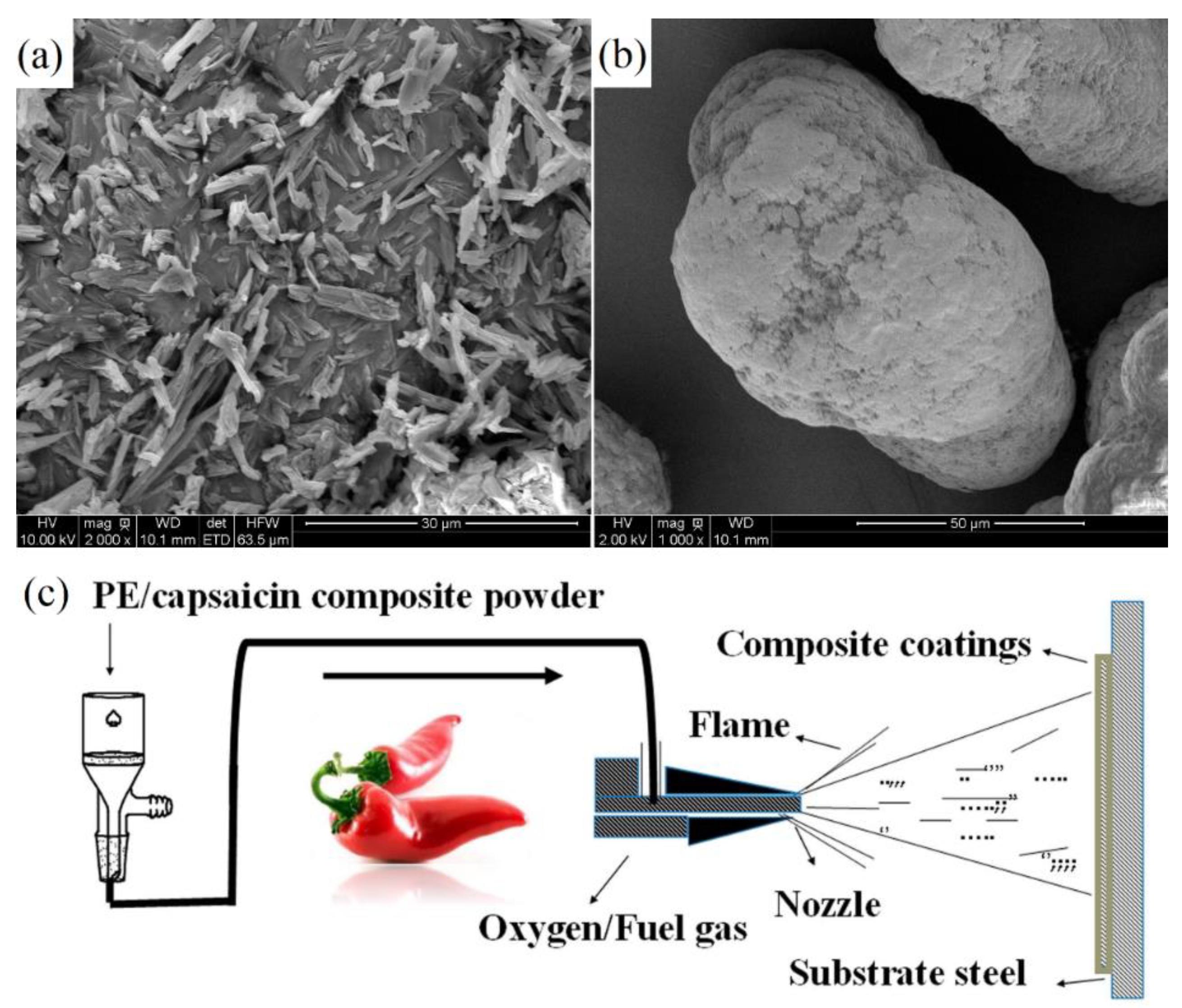 Marinedrugs 18 00371 g006