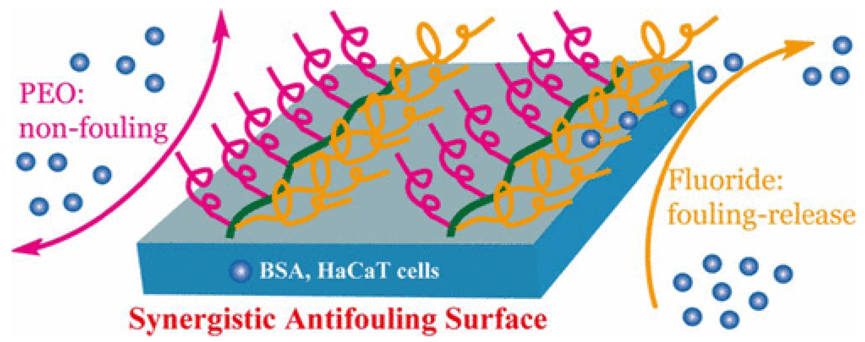 Marinedrugs 18 00371 g007