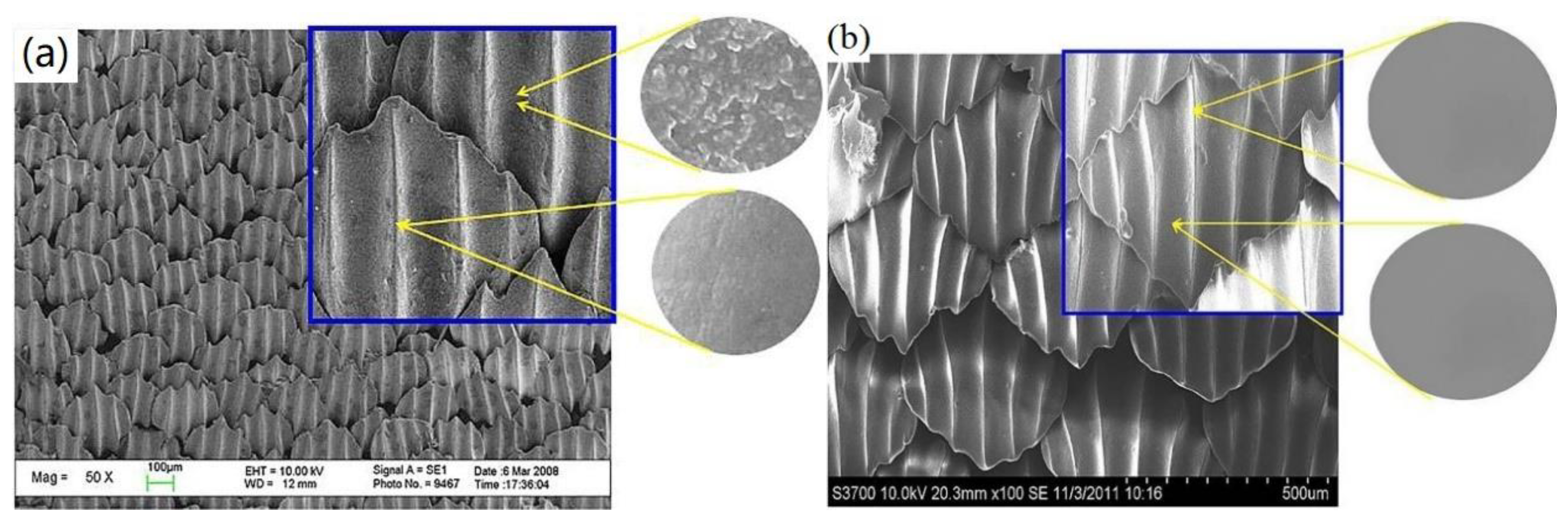 Marinedrugs 18 00371 g009