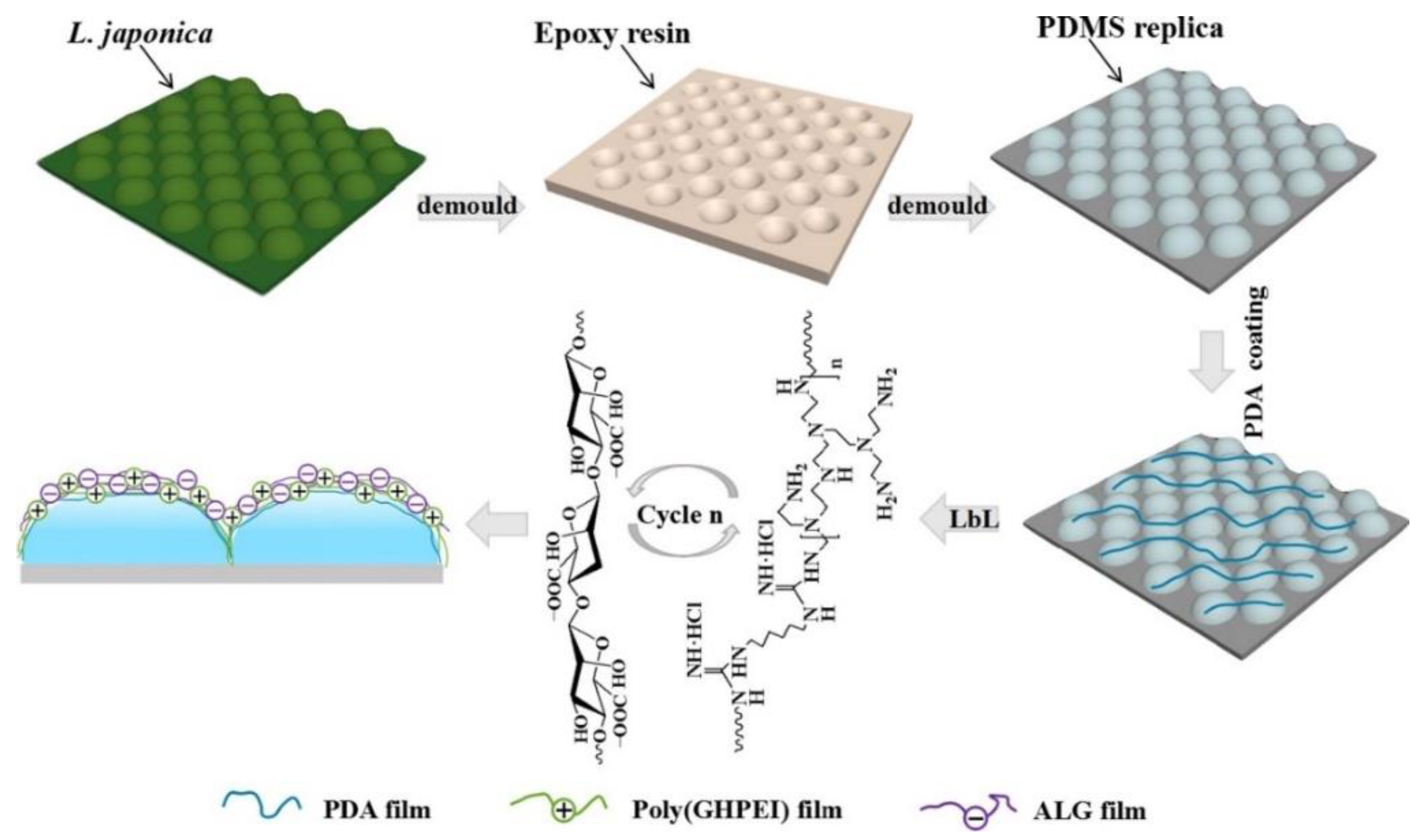 Marinedrugs 18 00371 g010