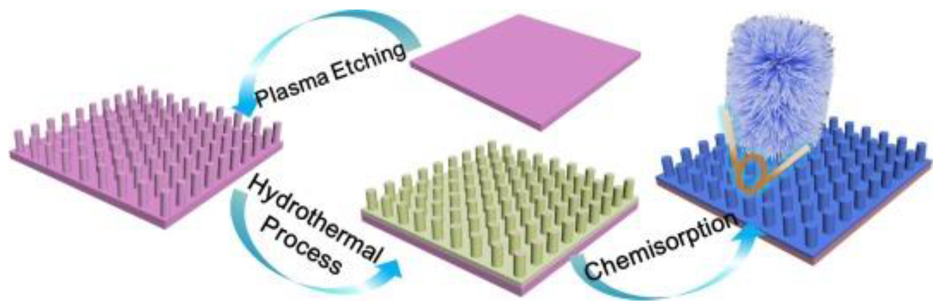 Marinedrugs 18 00371 g011