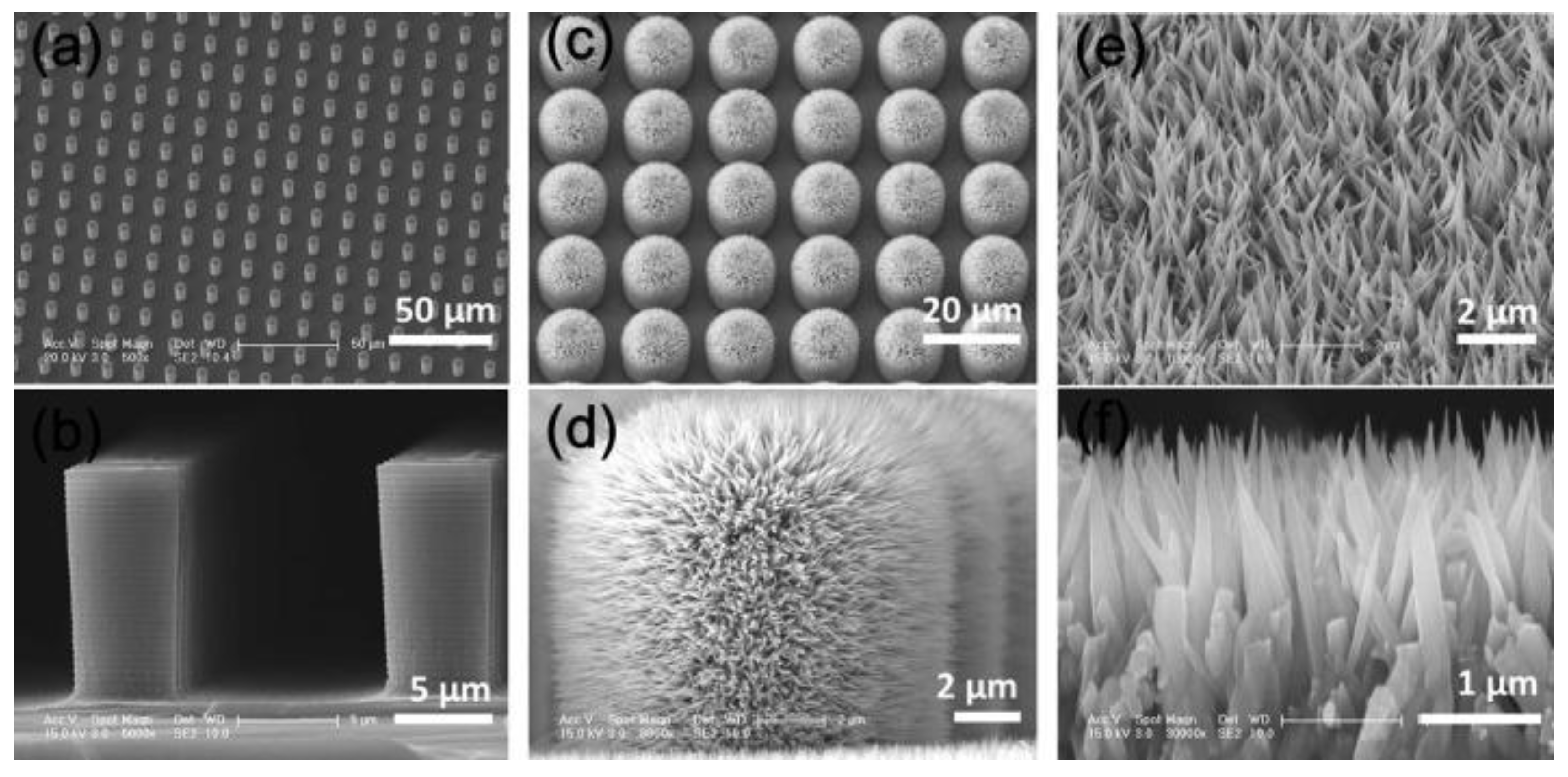 Marinedrugs 18 00371 g012