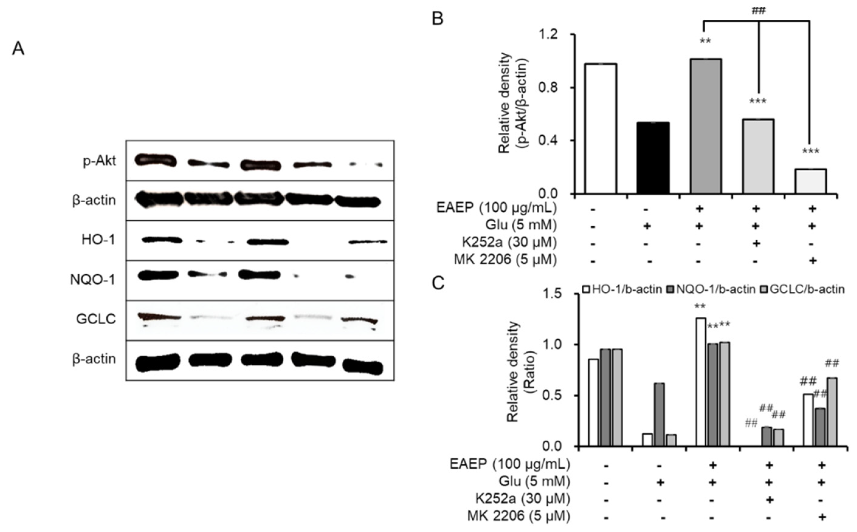 Marinedrugs 18 00372 g006