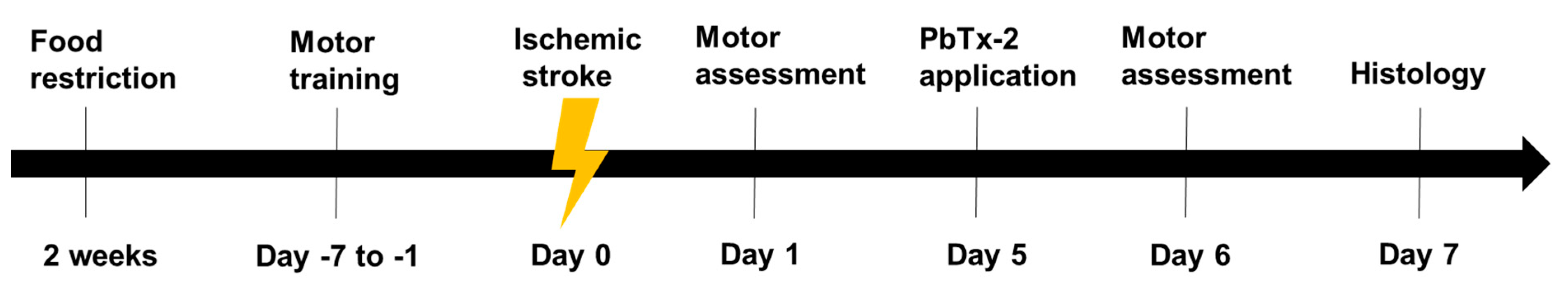 Marinedrugs 18 00374 g001