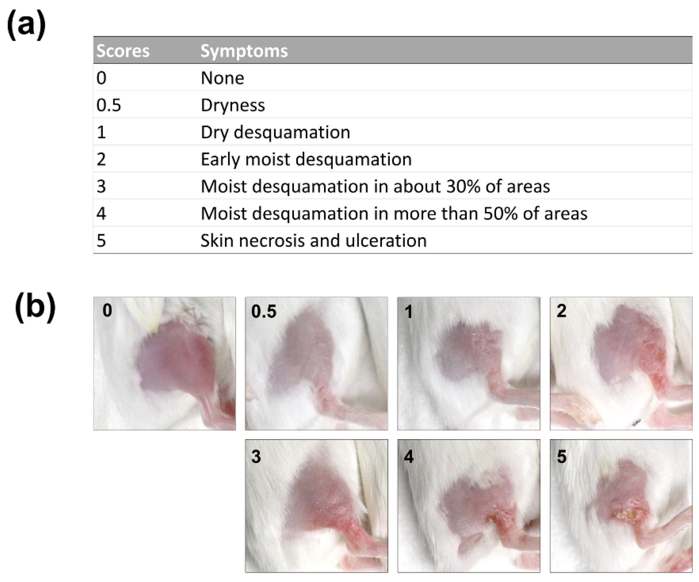 Marinedrugs 18 00377 g001 Marinedrugs 18 00377 g001