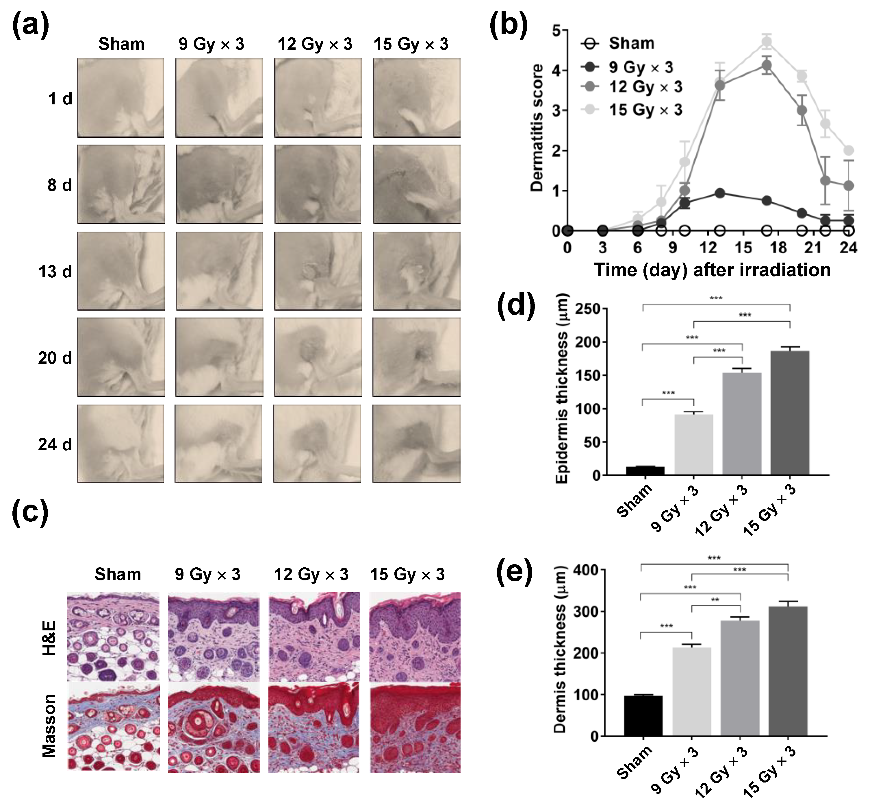 Marinedrugs 18 00377 g002 Marinedrugs 18 00377 g002