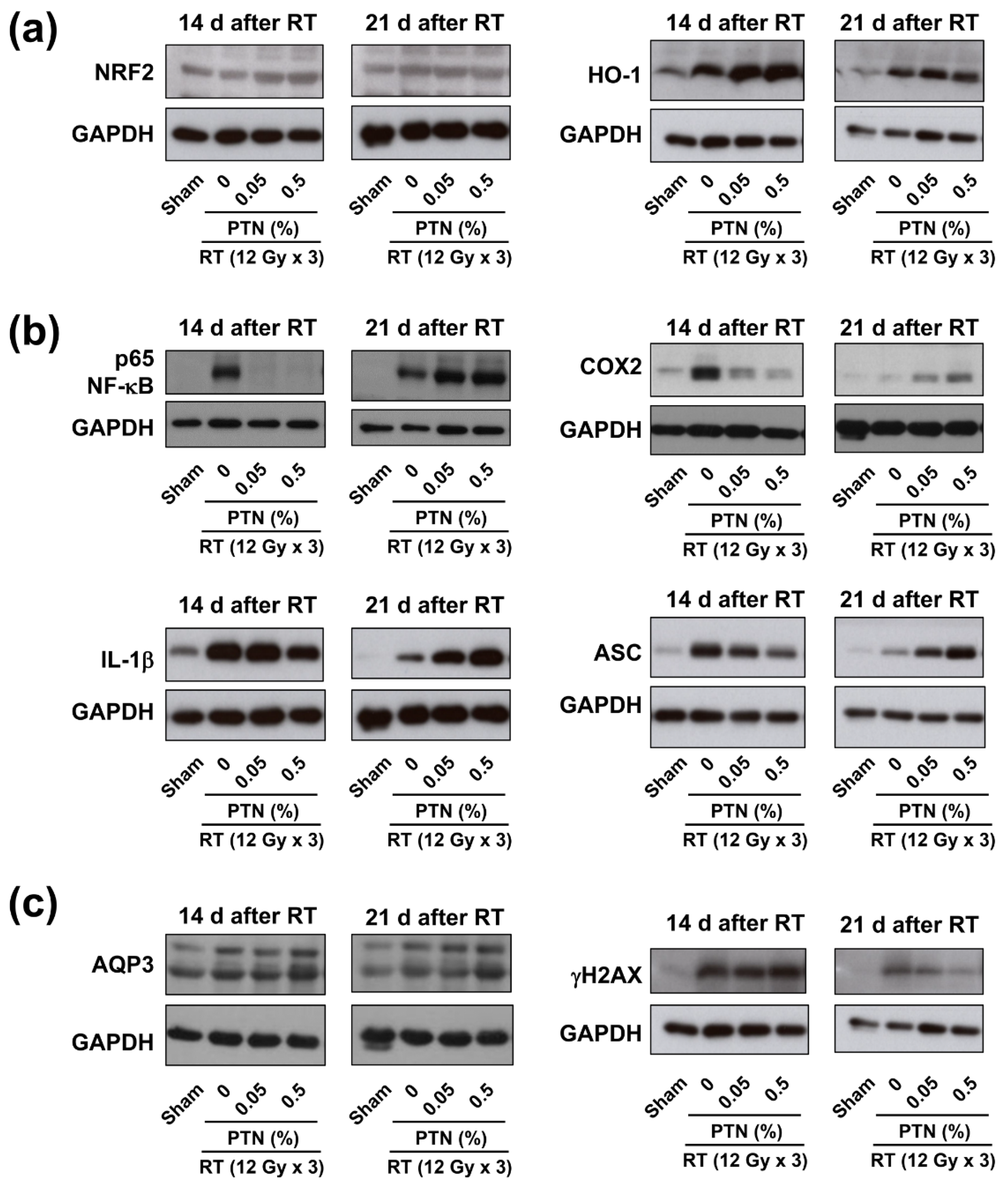 Marinedrugs 18 00377 g005 Marinedrugs 18 00377 g005