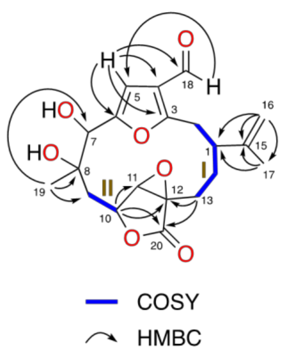 Marinedrugs 18 00378 g002 Marinedrugs 18 00378 g002