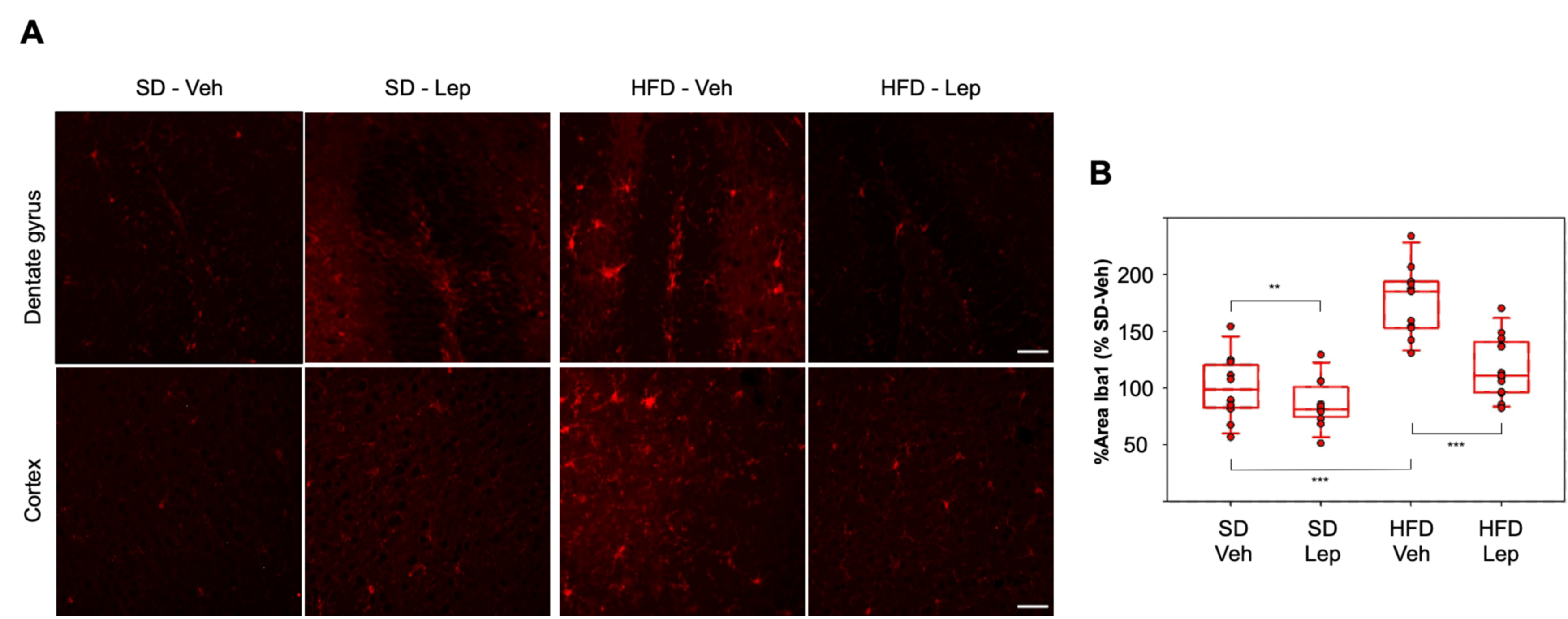 Marinedrugs 18 00378 g005 Marinedrugs 18 00378 g005