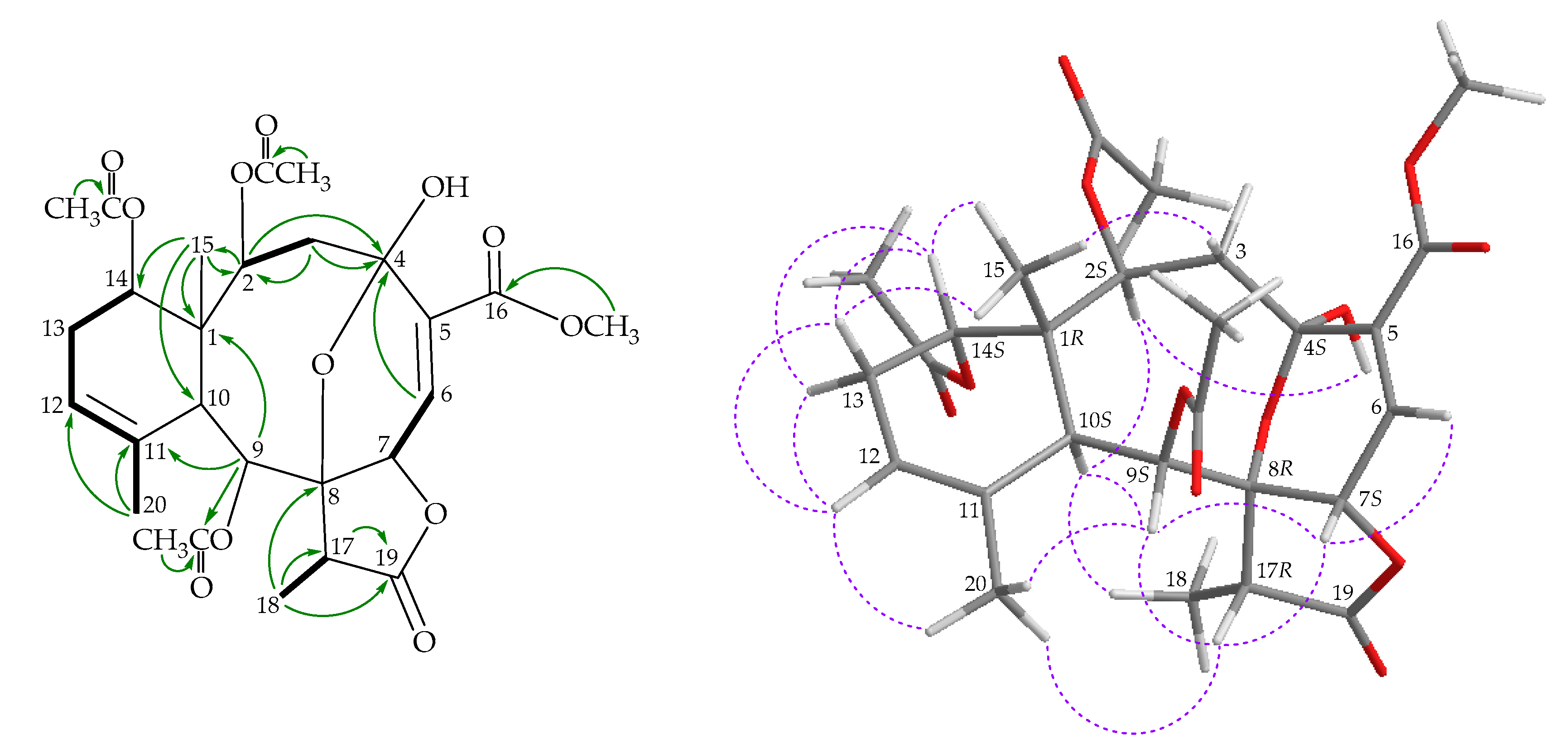 Marinedrugs 18 00383 g002