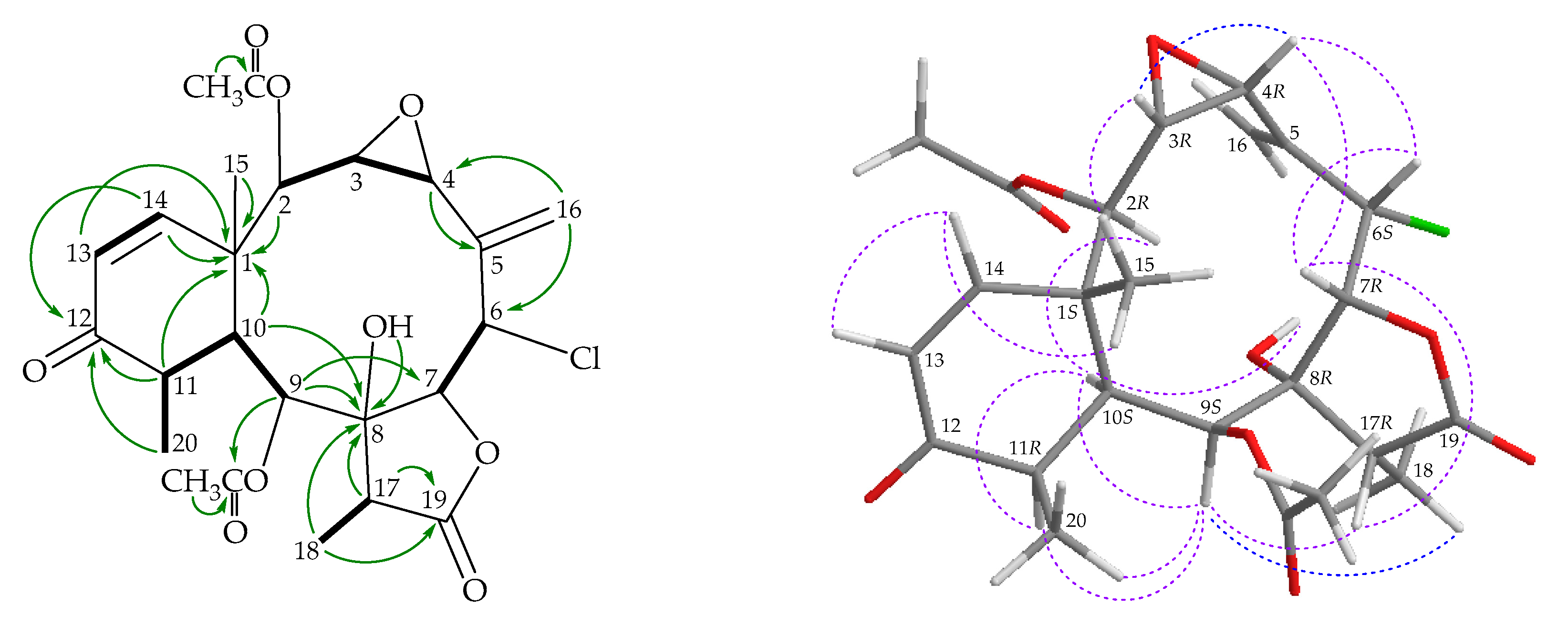 Marinedrugs 18 00383 g003