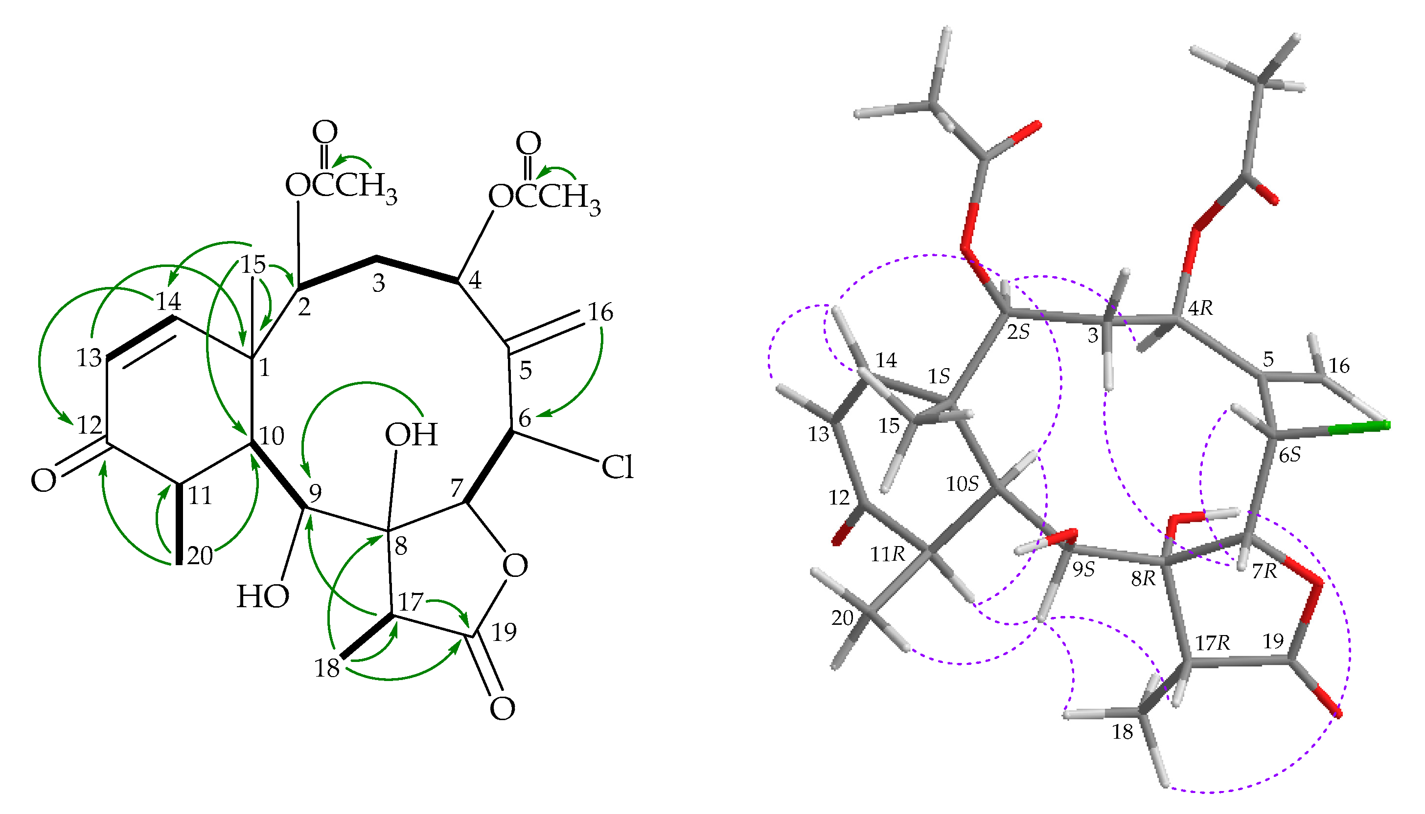 Marinedrugs 18 00383 g004