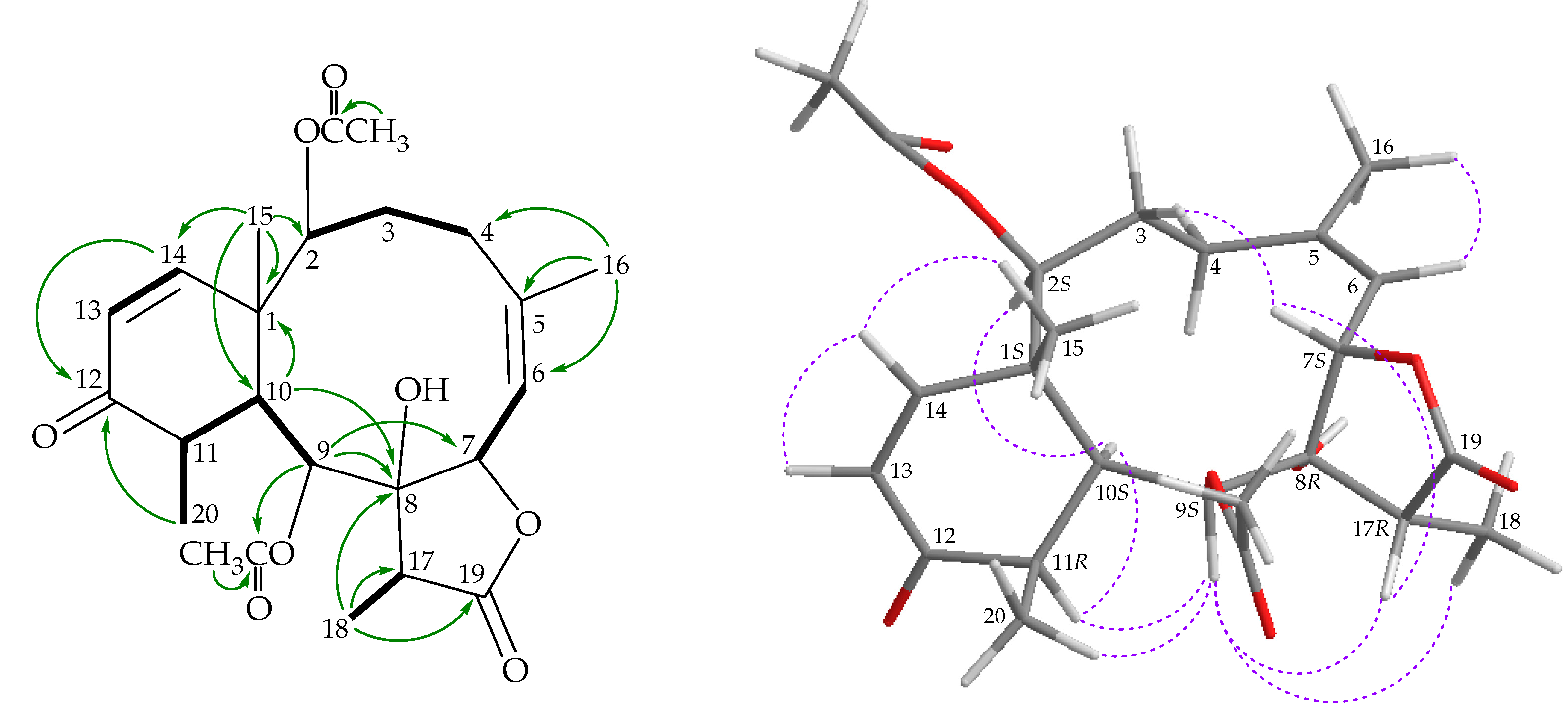 Marinedrugs 18 00383 g005