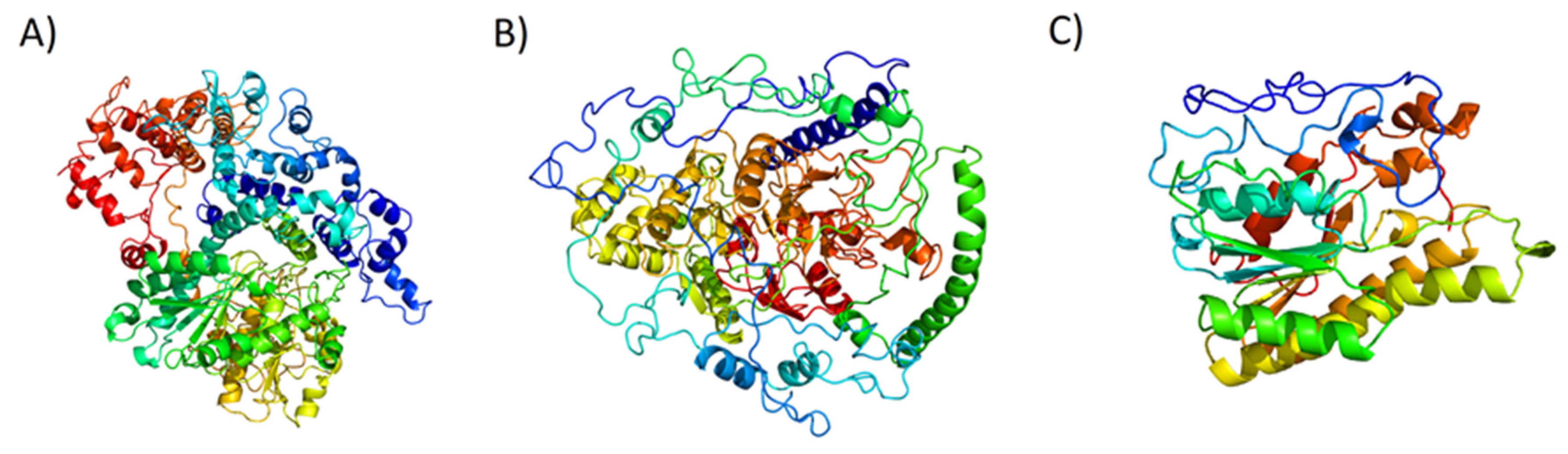 Marinedrugs 18 00386 g003