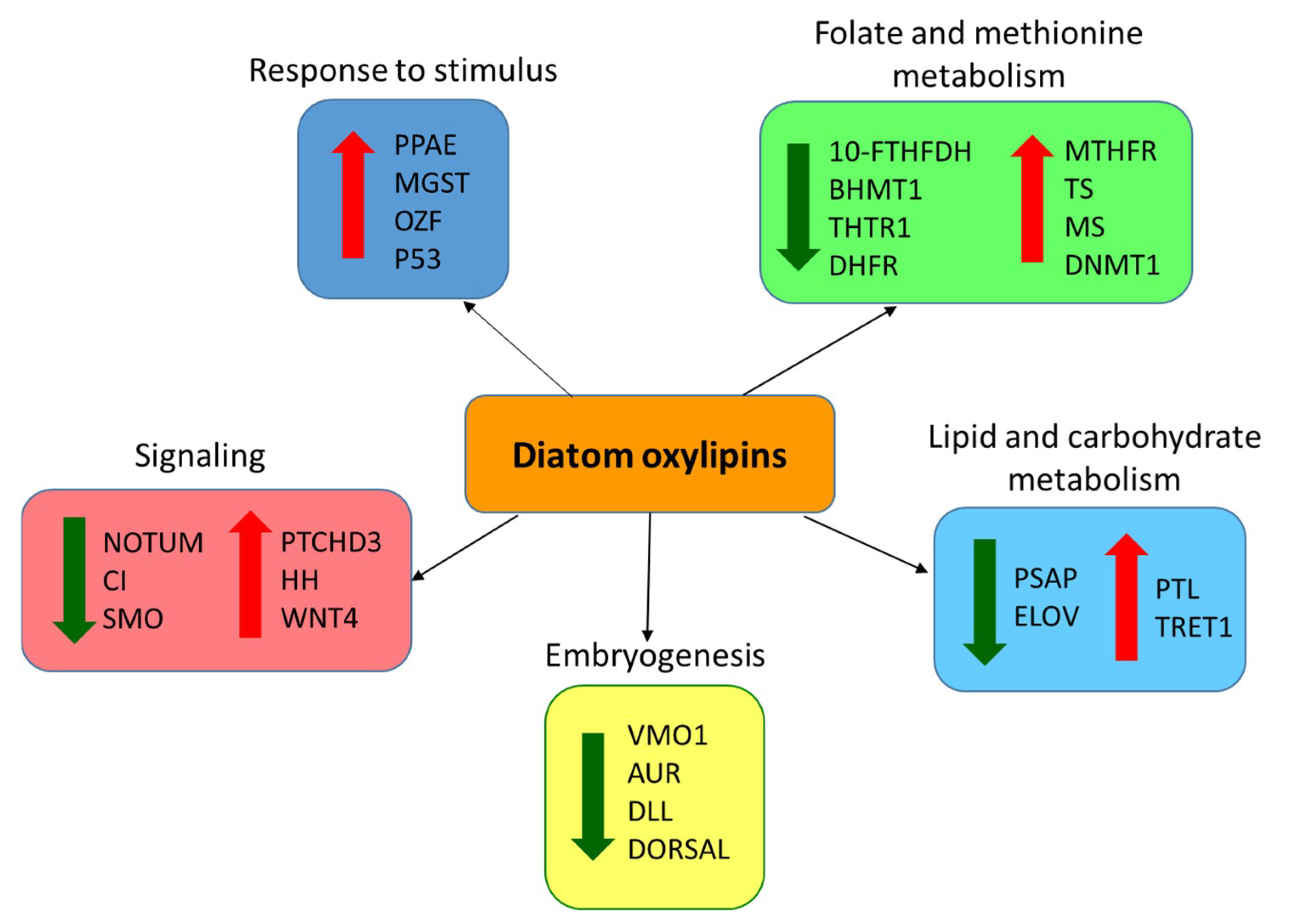 Marinedrugs 18 00392 g010 Marinedrugs 18 00392 g010