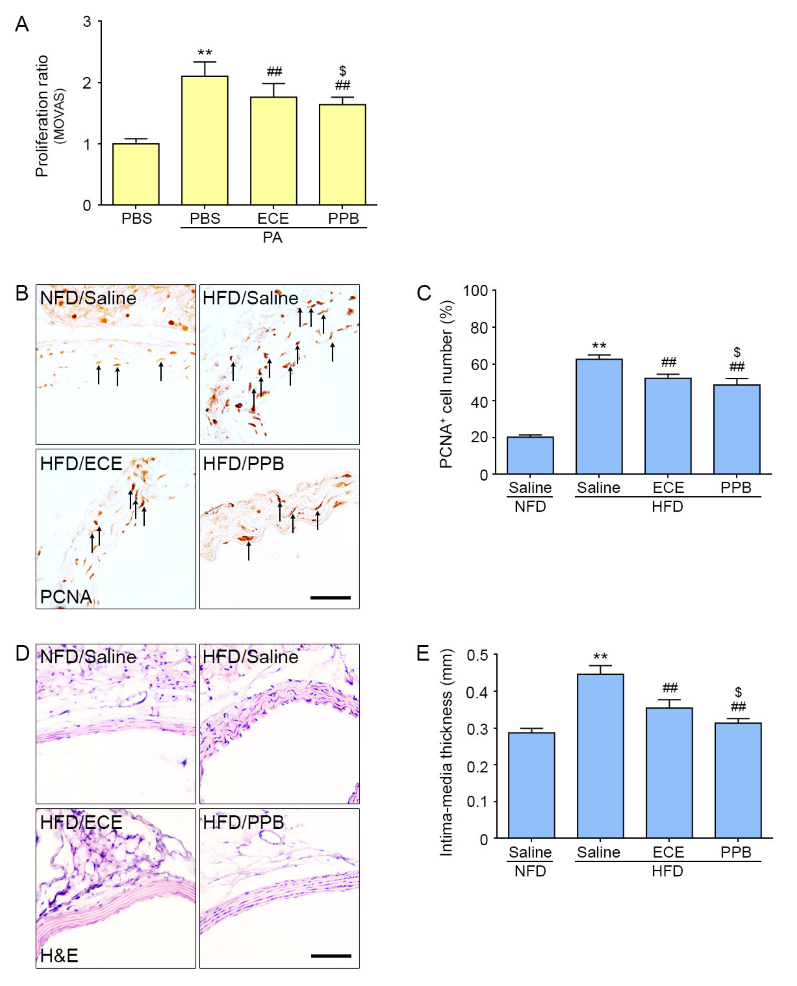 Marinedrugs 18 00393 g004 Marinedrugs 18 00393 g004