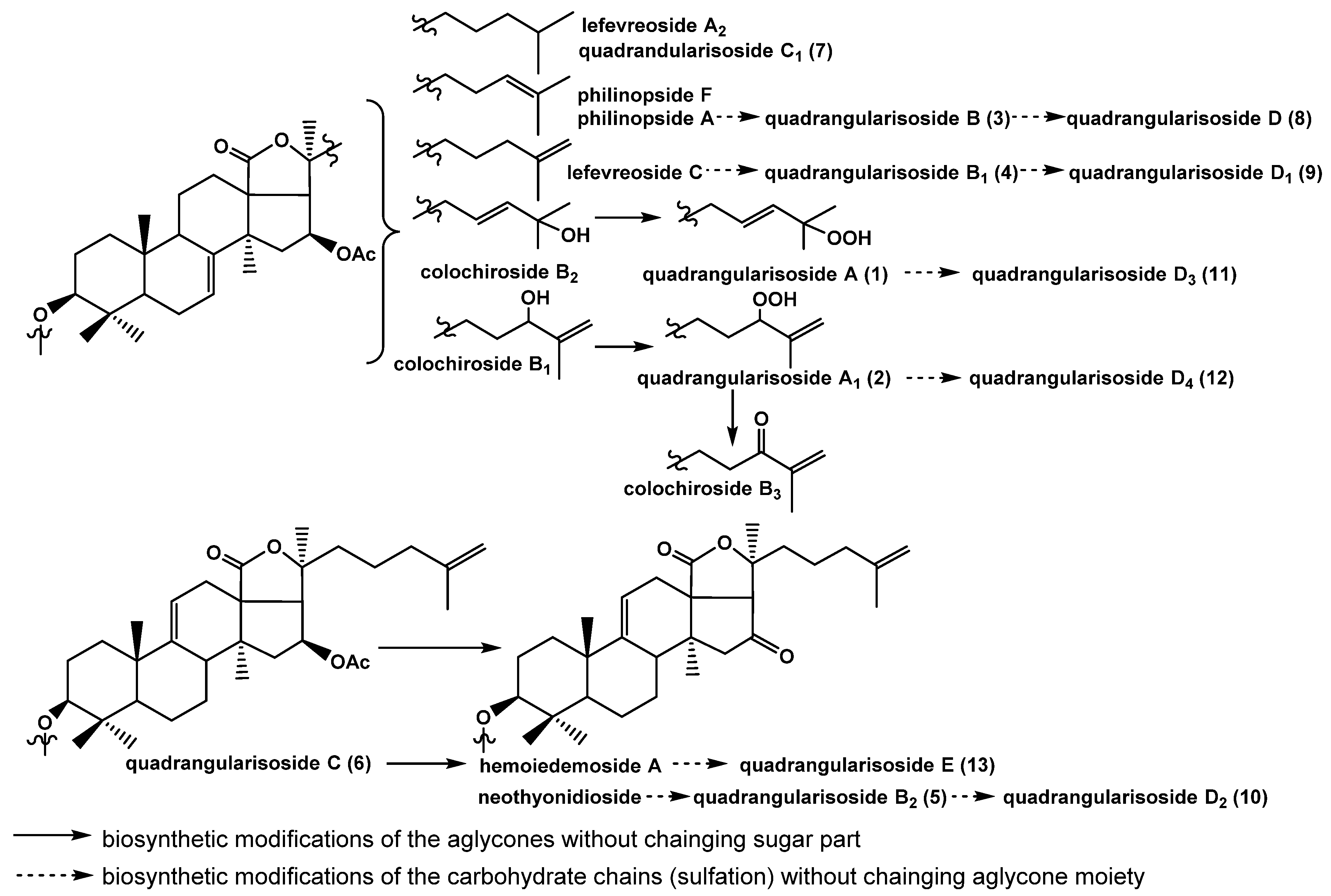 Marinedrugs 18 00394 g003
