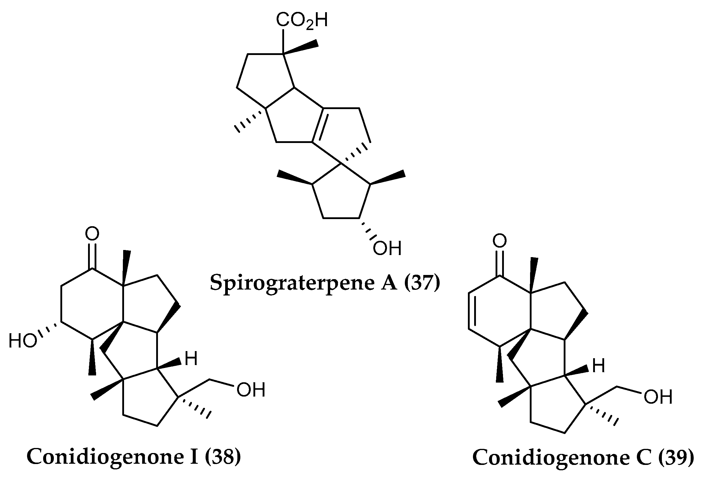 Marinedrugs 18 00401 g008 Marinedrugs 18 00401 g008
