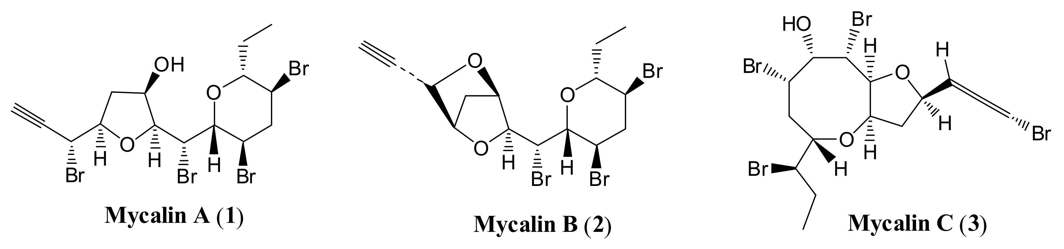 Marinedrugs 18 00402 g001