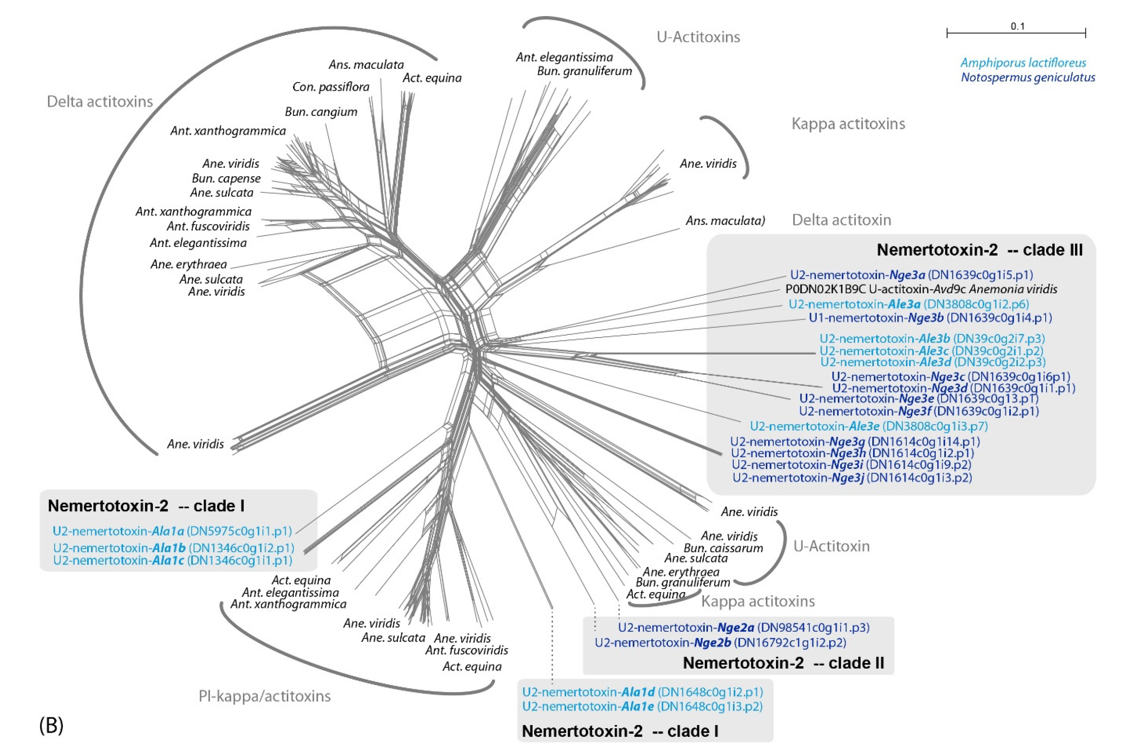 Marinedrugs 18 00407 g003b Marinedrugs 18 00407 g003b