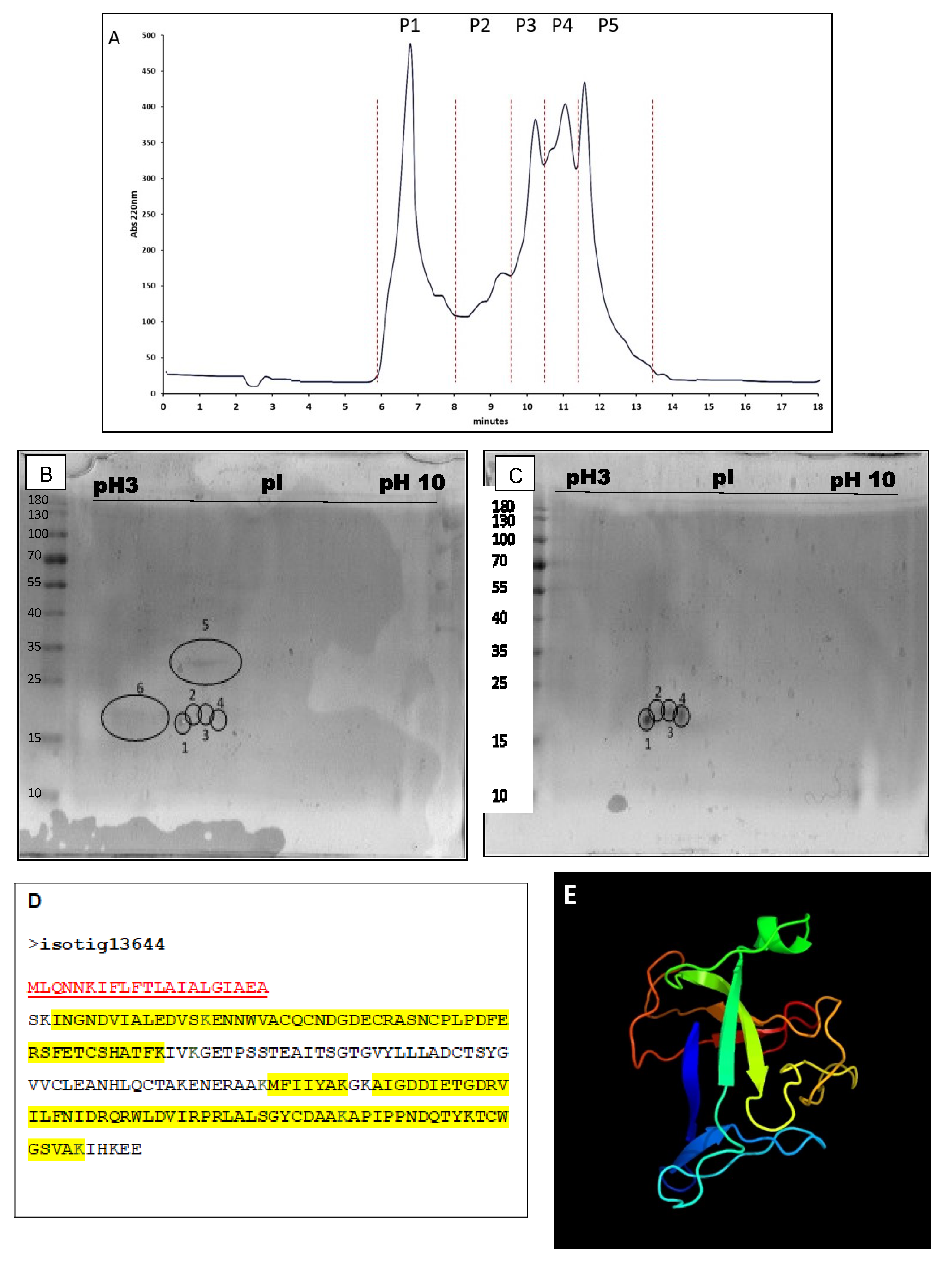 Marinedrugs 18 00409 g002 Marinedrugs 18 00409 g002