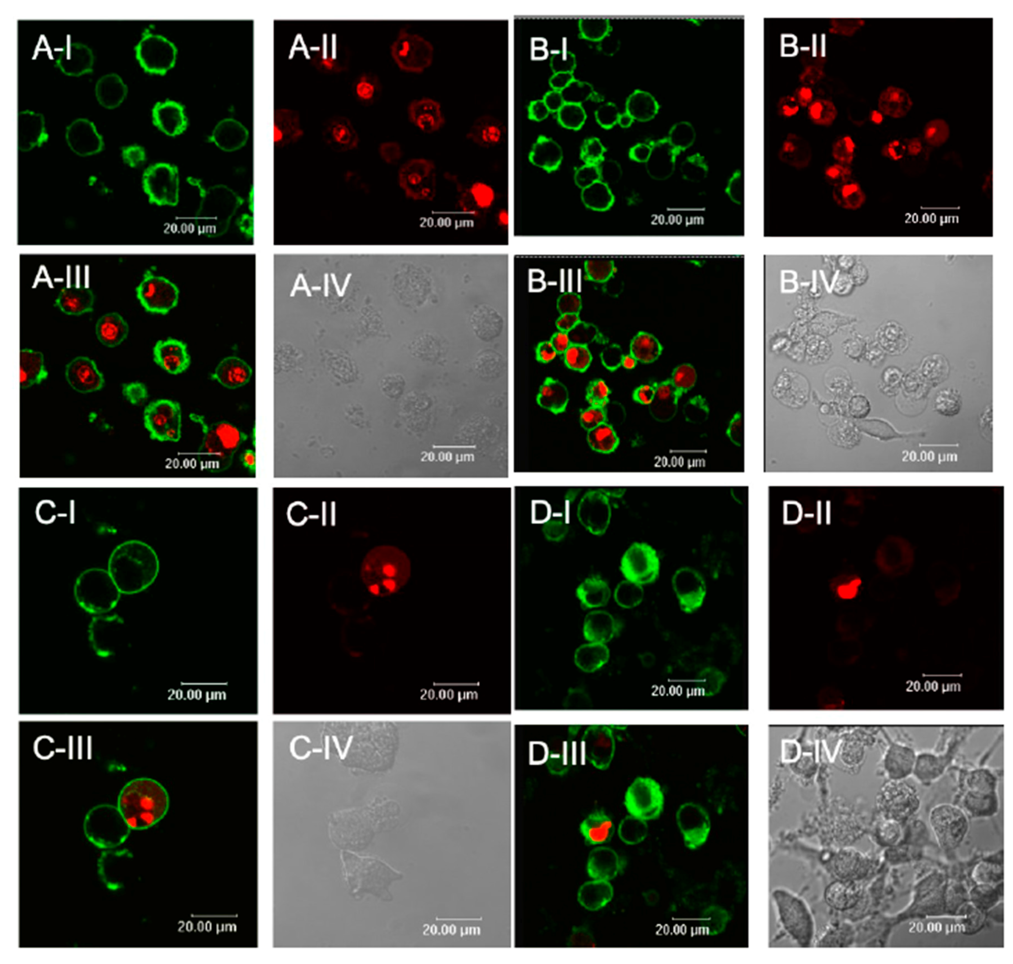 Marinedrugs 18 00409 g006 Marinedrugs 18 00409 g006