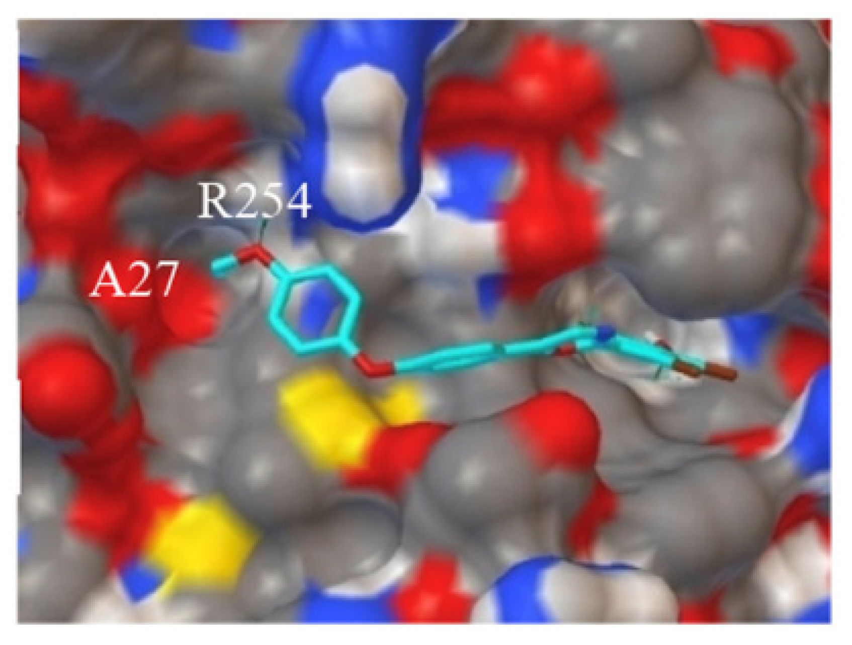 Marinedrugs 18 00411 g005 Marinedrugs 18 00411 g005