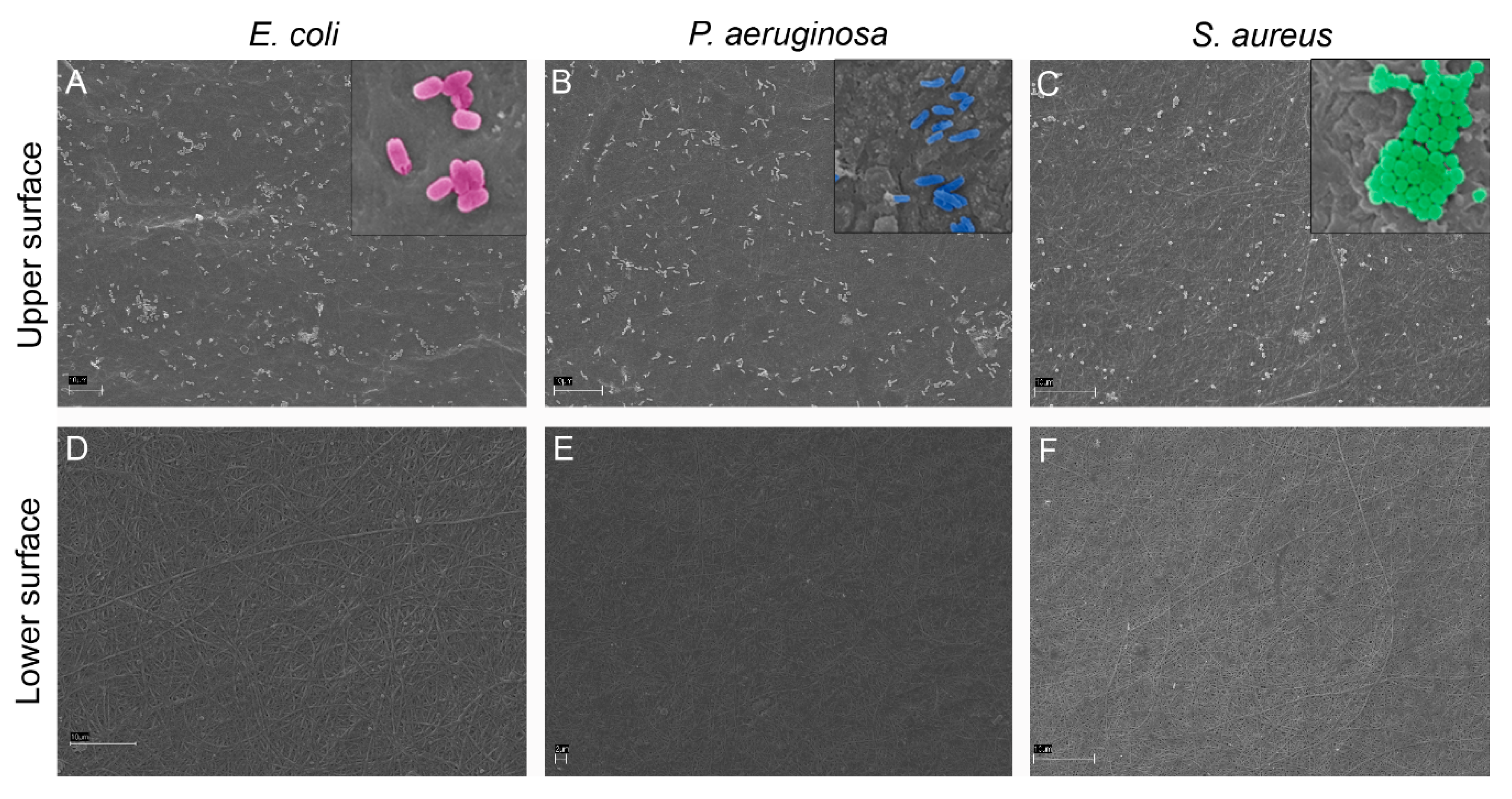 Marinedrugs 18 00414 g002 Marinedrugs 18 00414 g002