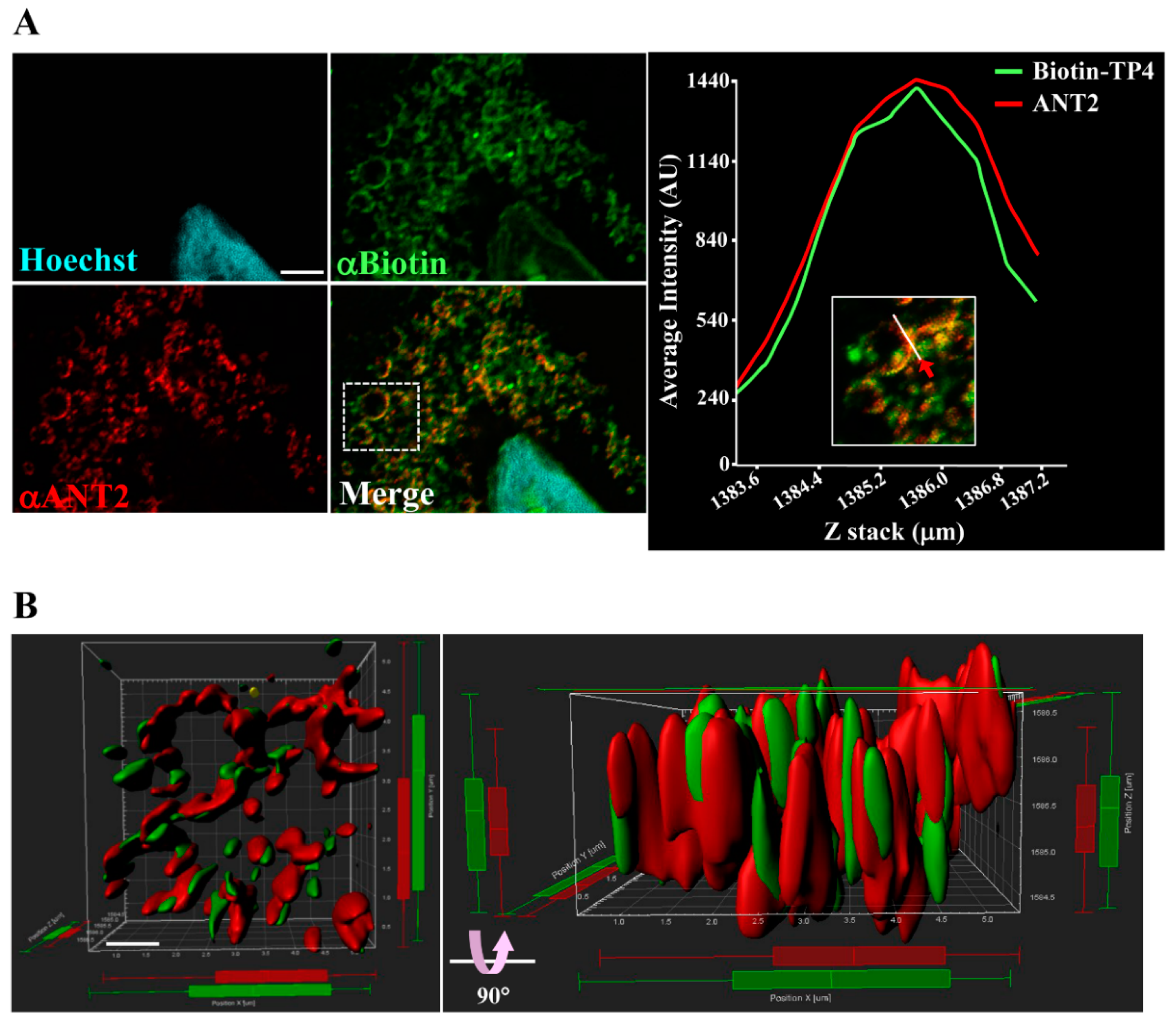 Marinedrugs 18 00417 g002