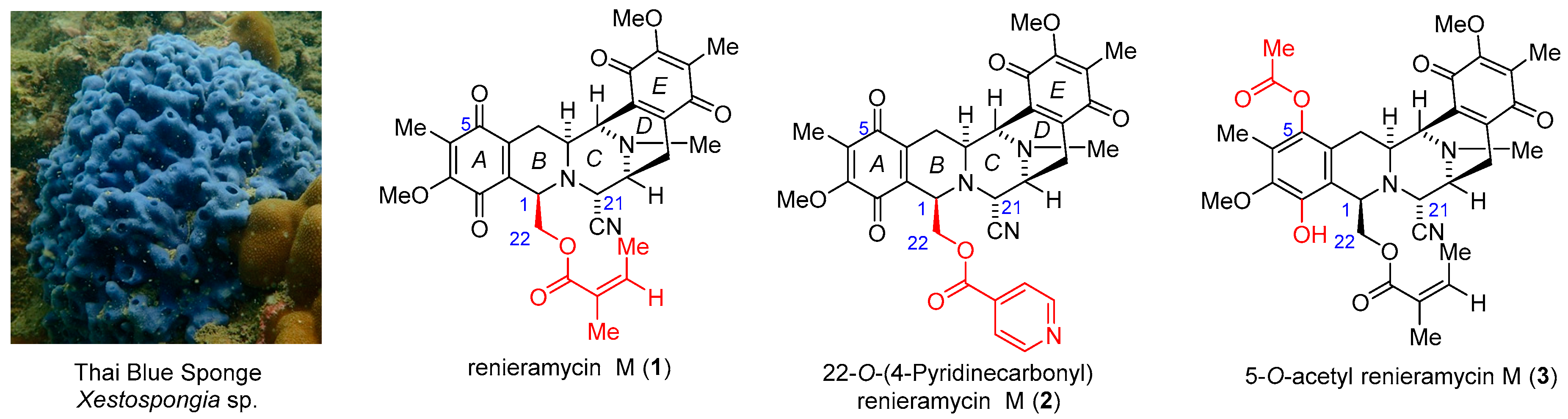 Marinedrugs 18 00418 g001 Marinedrugs 18 00418 g001