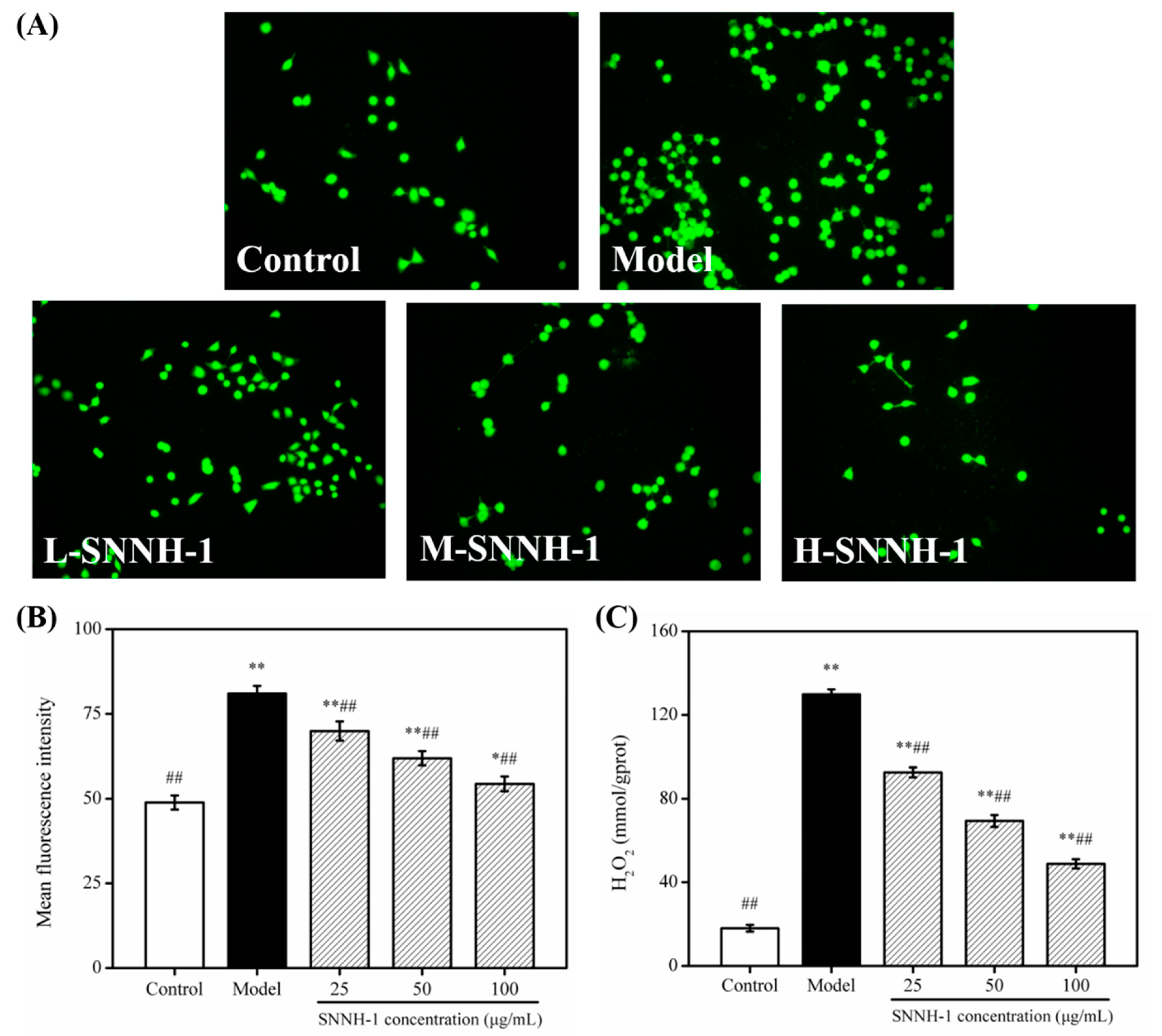 Marinedrugs 18 00430 g009 Marinedrugs 18 00430 g009