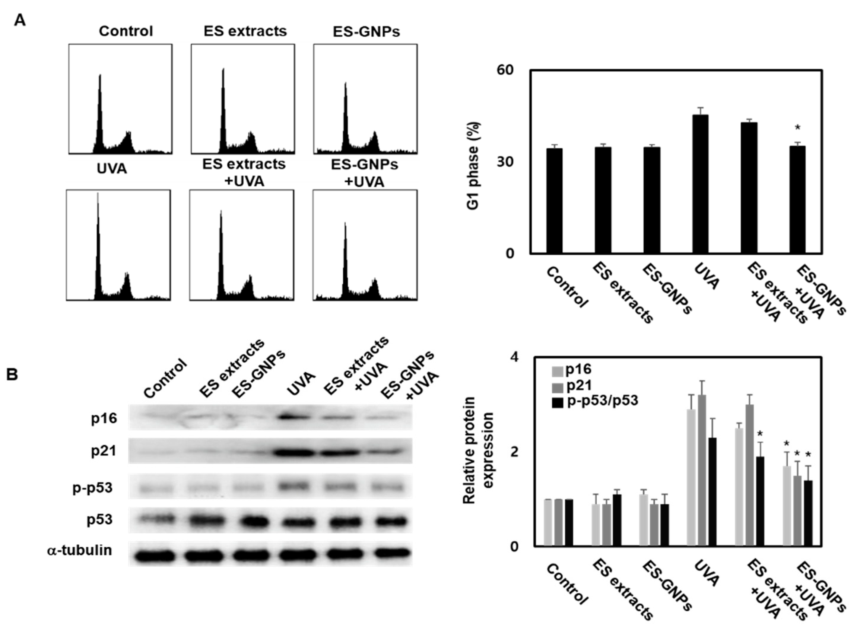 Marinedrugs 18 00433 g006