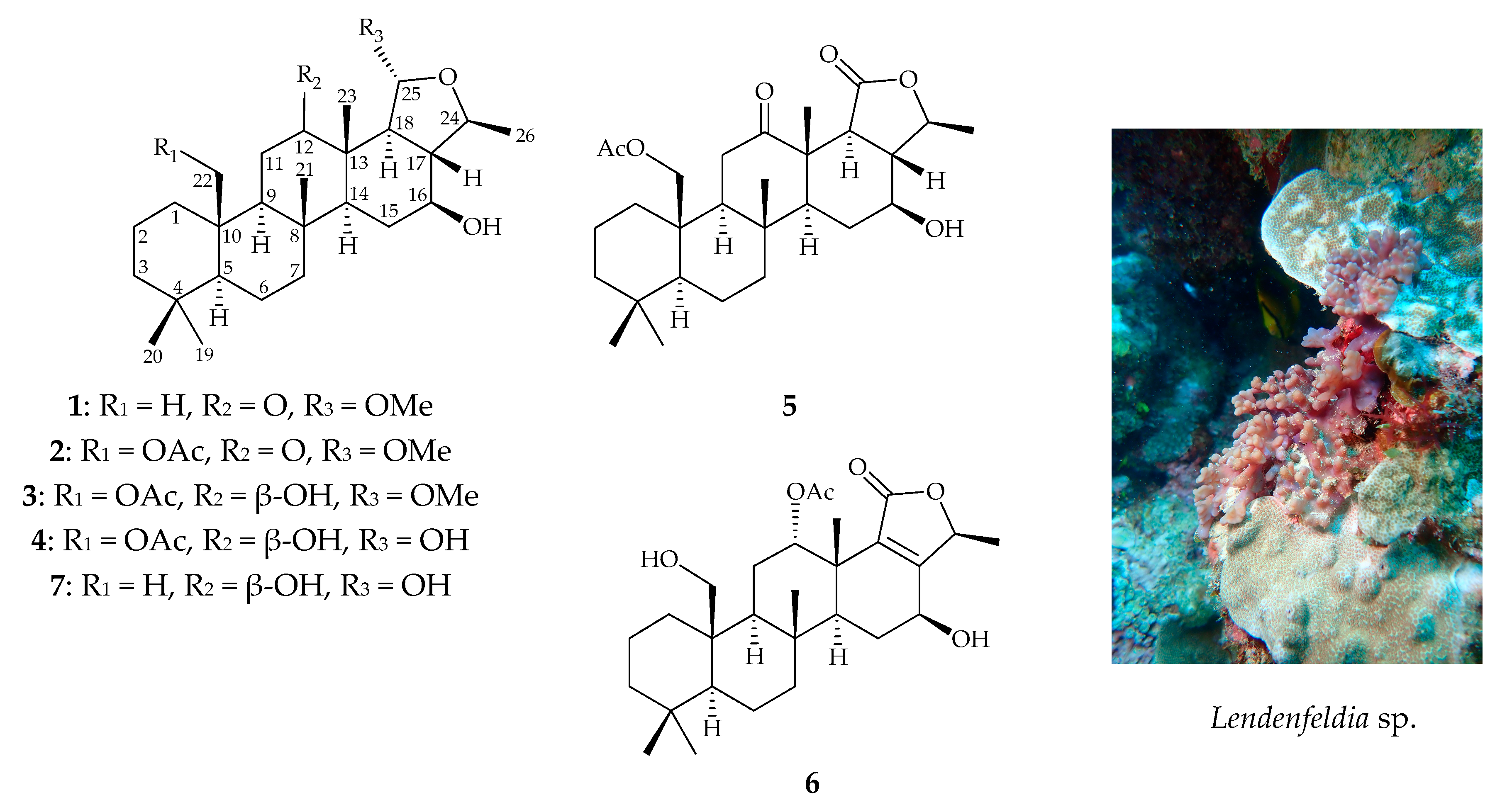 Marinedrugs 18 00434 g001
