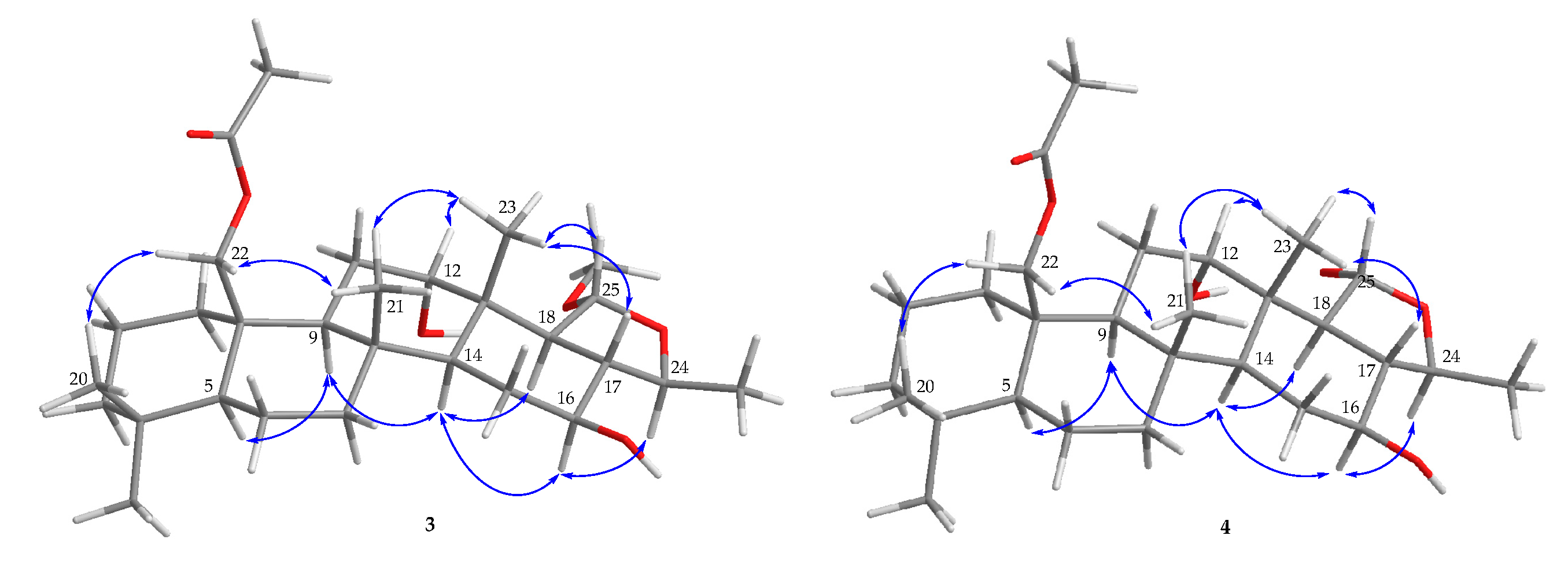 Marinedrugs 18 00434 g005