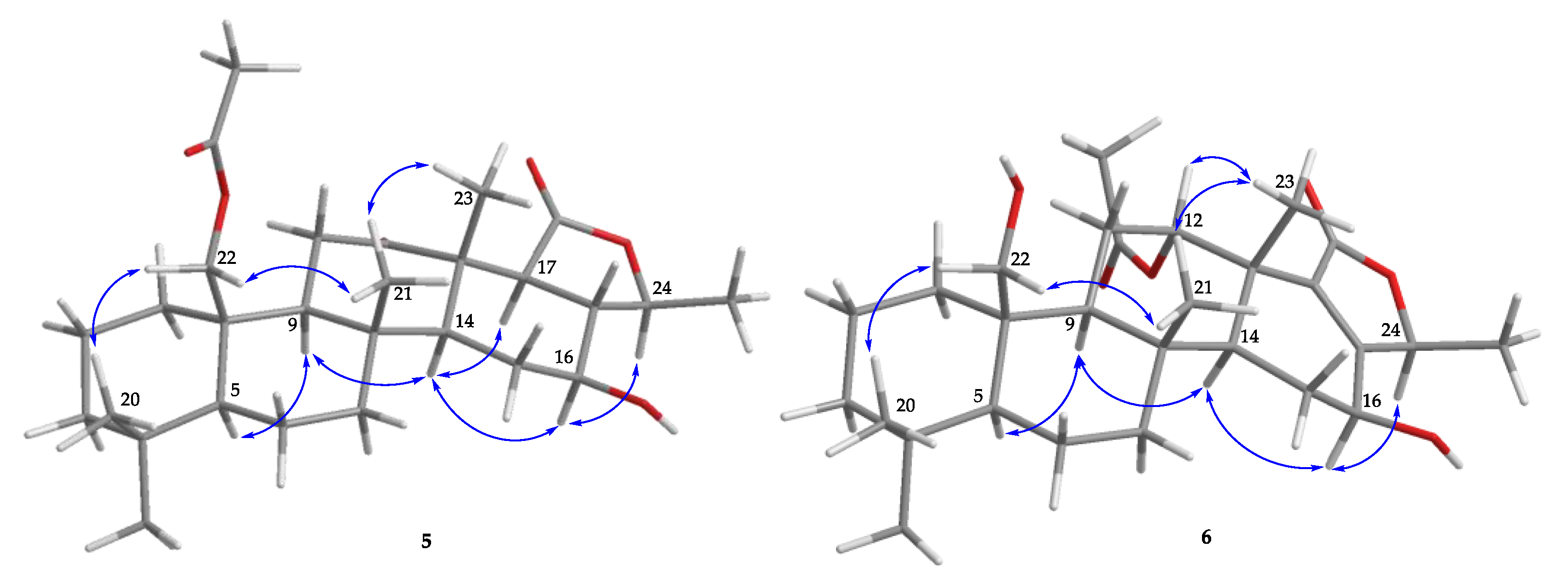 Marinedrugs 18 00434 g006