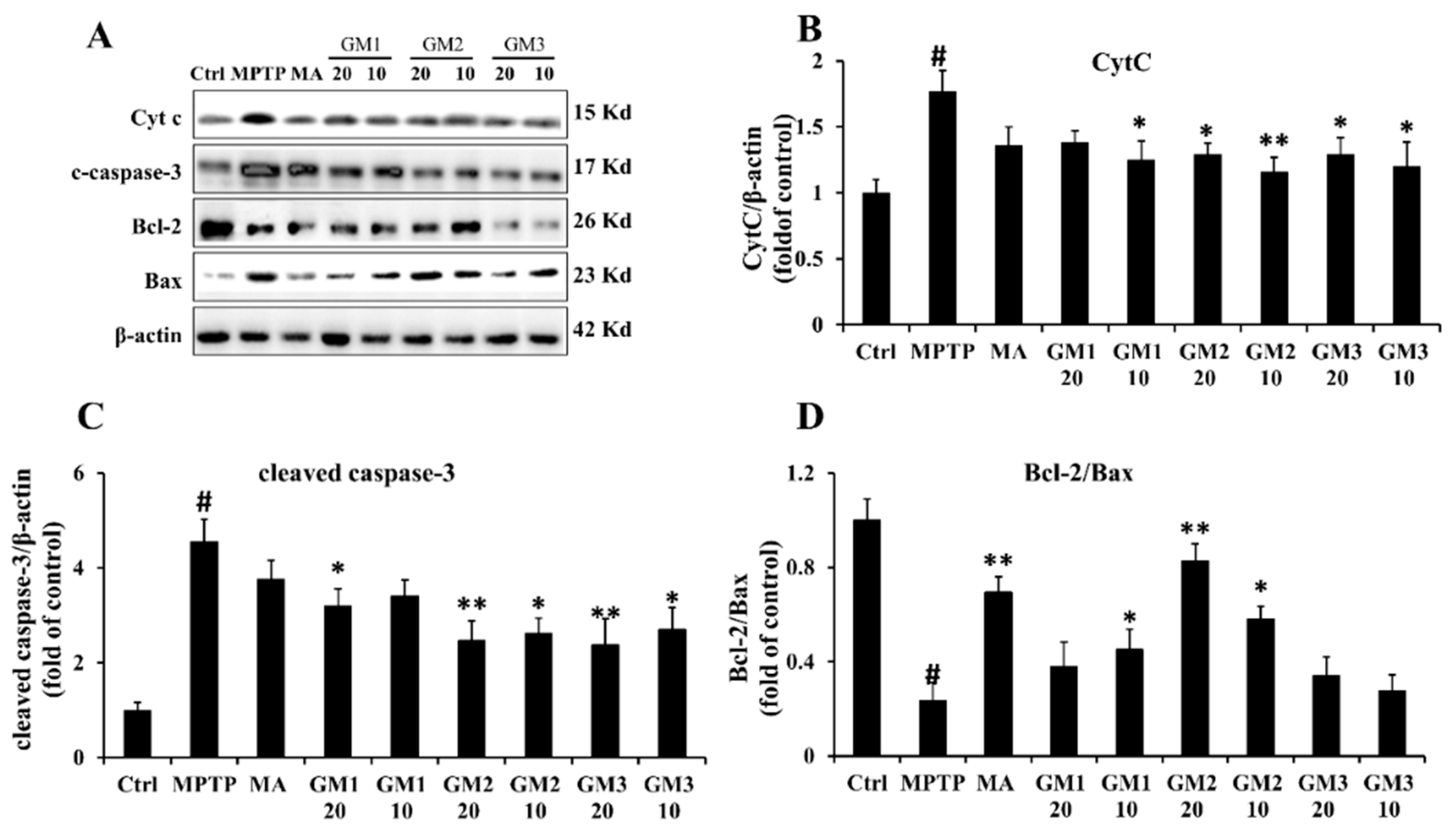 Marinedrugs 18 00438 g006 Marinedrugs 18 00438 g006