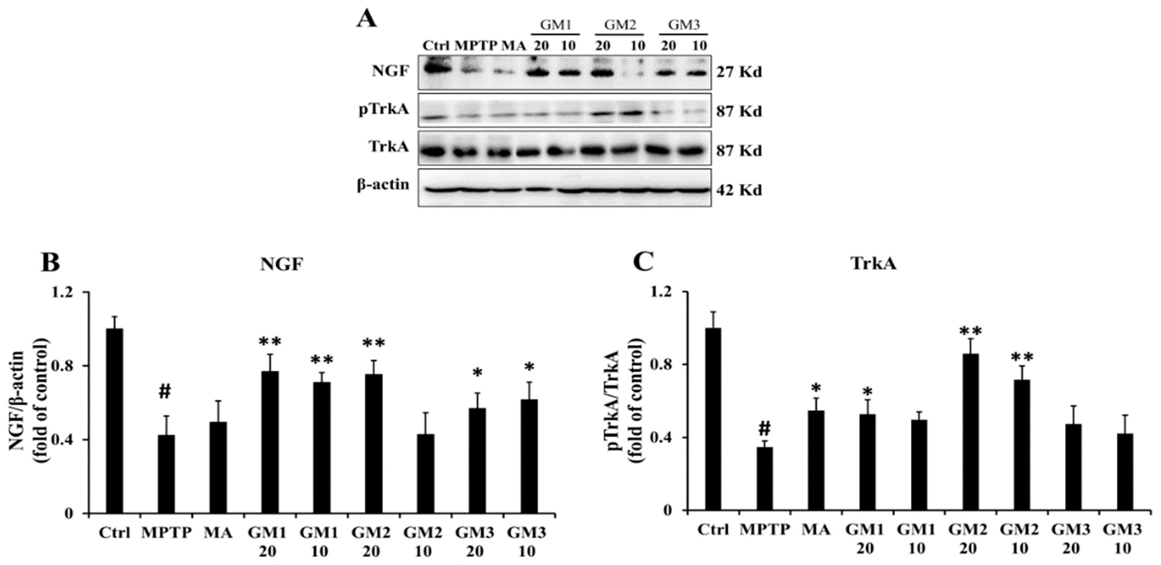 Marinedrugs 18 00438 g007 Marinedrugs 18 00438 g007