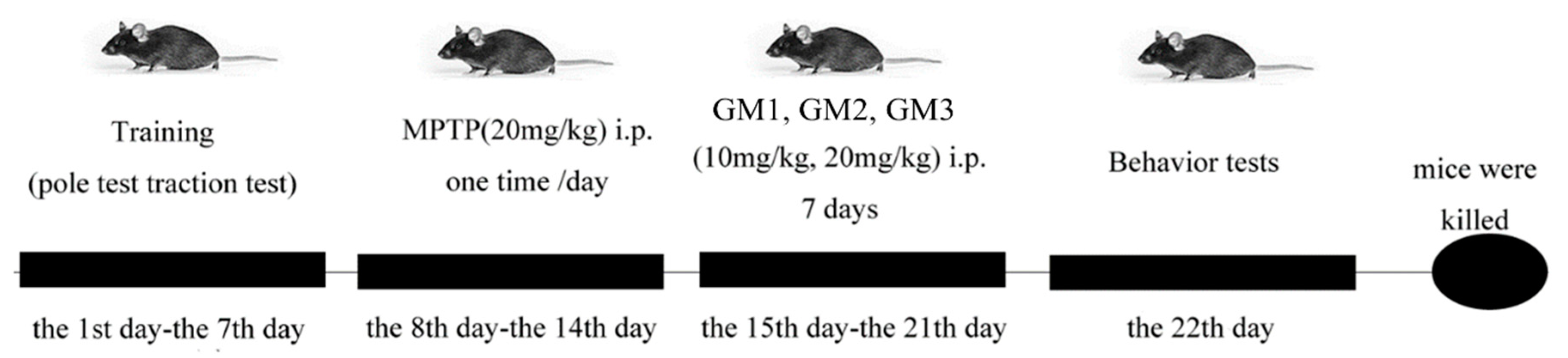 Marinedrugs 18 00438 g008 Marinedrugs 18 00438 g008