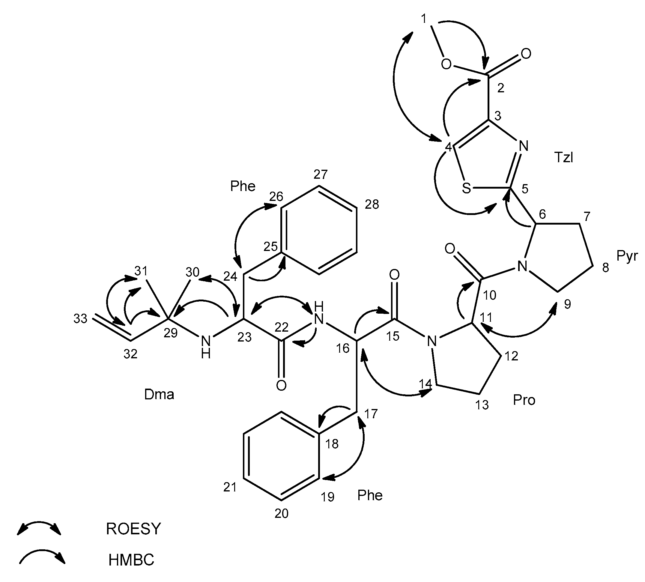 Marinedrugs 18 00446 g006 Marinedrugs 18 00446 g006