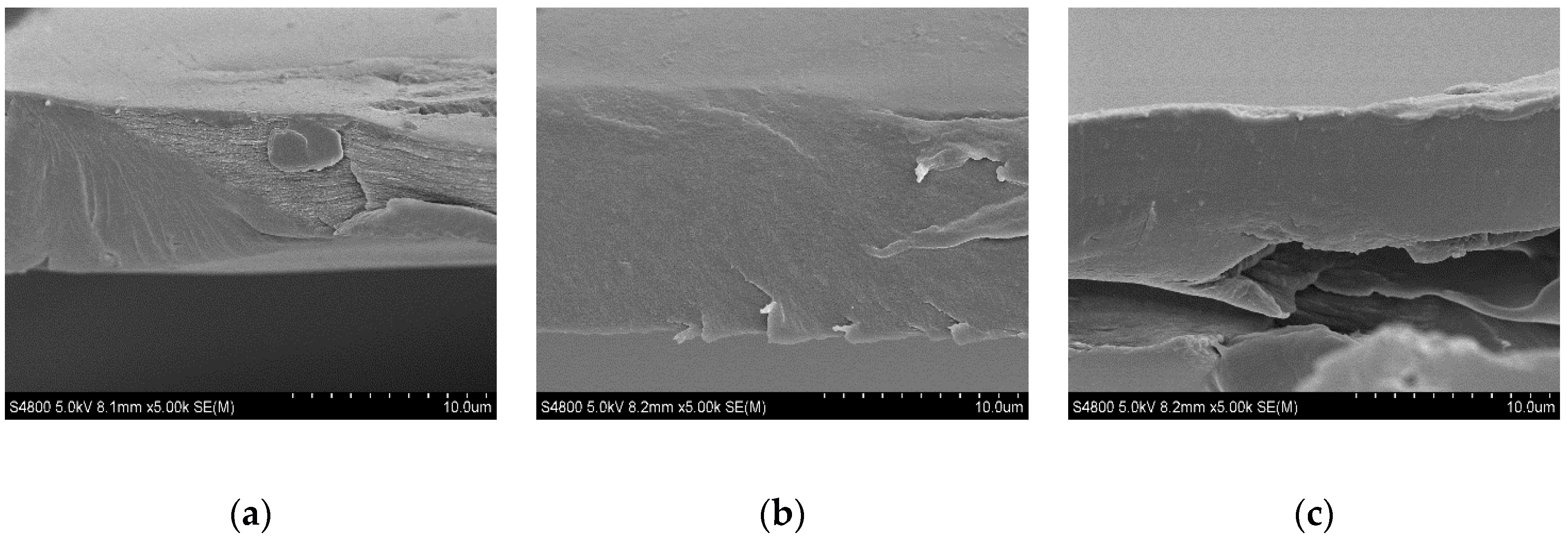 Marinedrugs 18 00447 g004 Marinedrugs 18 00447 g004