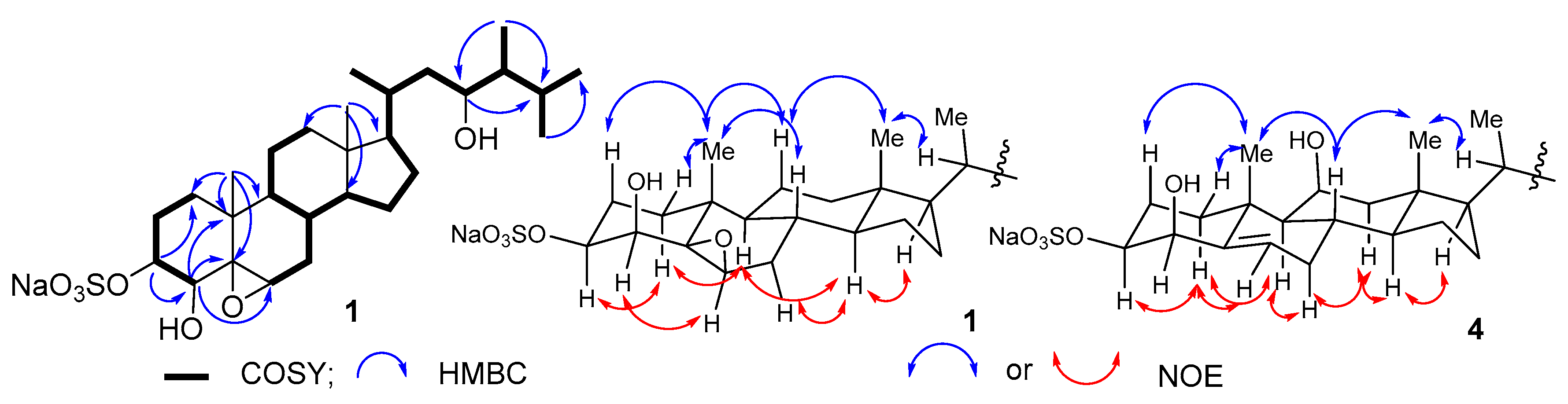 Marinedrugs 18 00454 g002 Marinedrugs 18 00454 g002